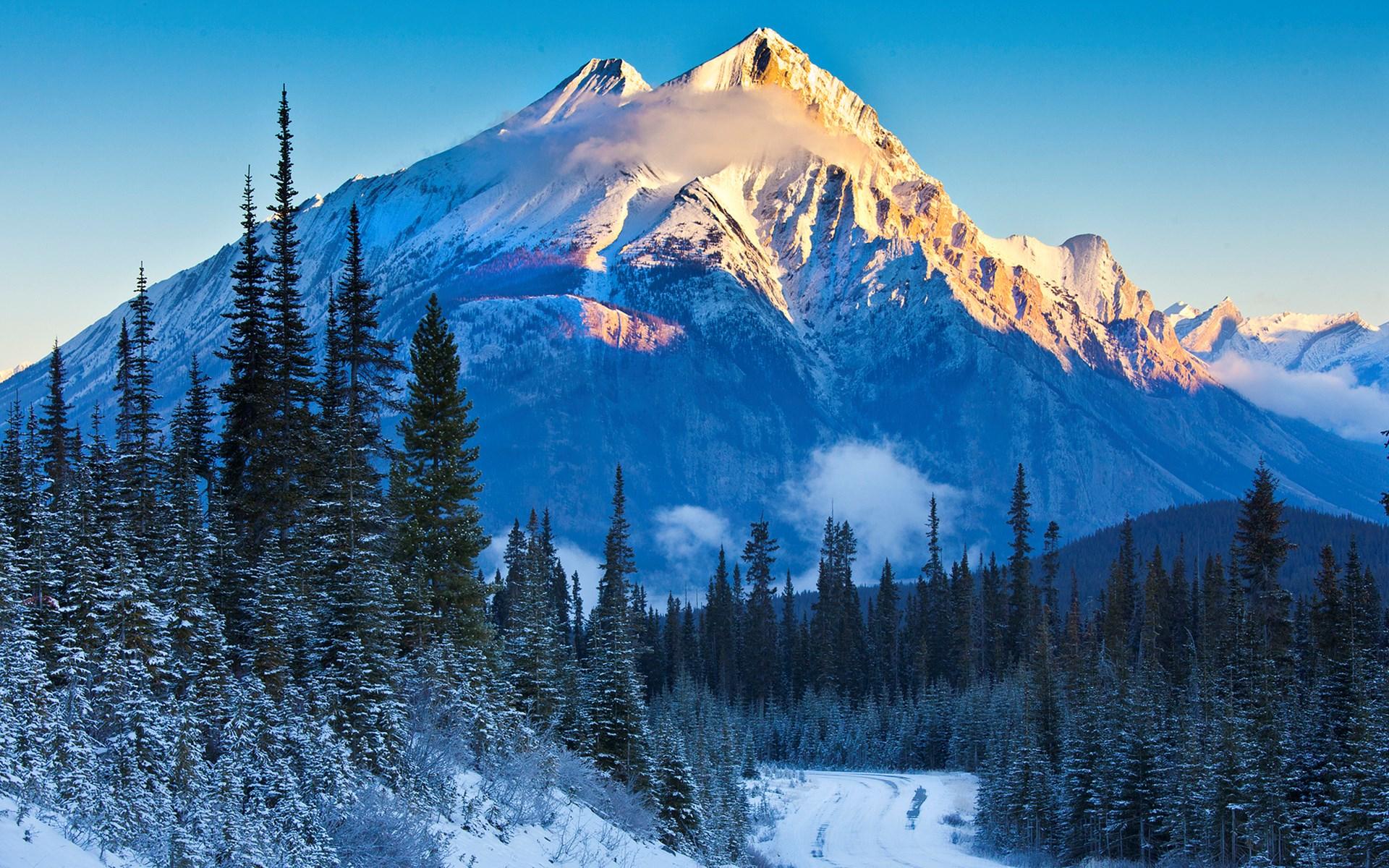 1920x1200 nature, 1920x1200 Gallery HD Wallpaper