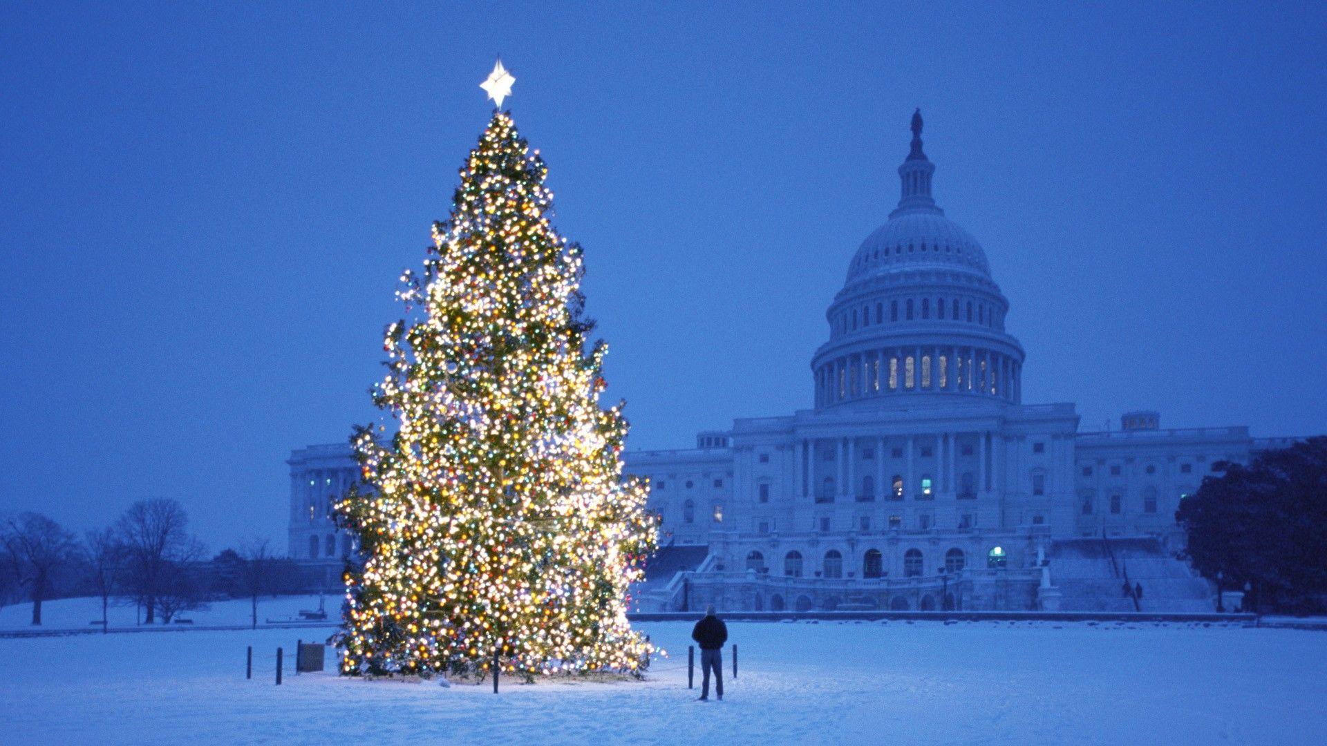 1920x1080 Christmas Tree Desktop Wallpaper