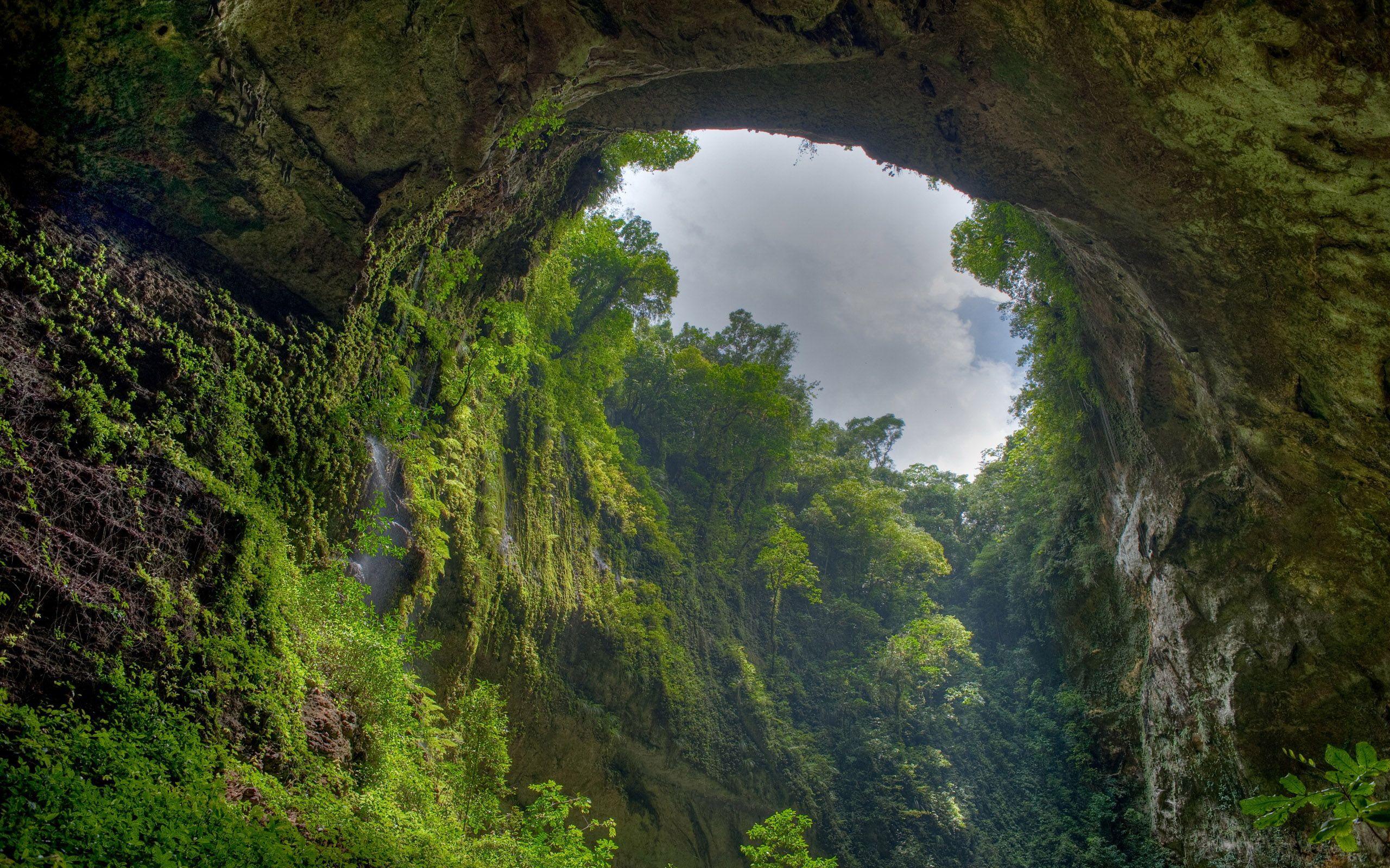 2560x1600 Jungle Cave Wallpaper