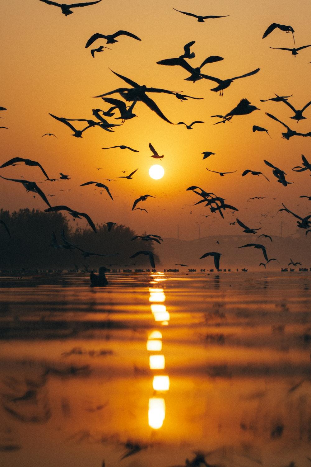 1000x1500 Yamuna River Picture. Download Free Image