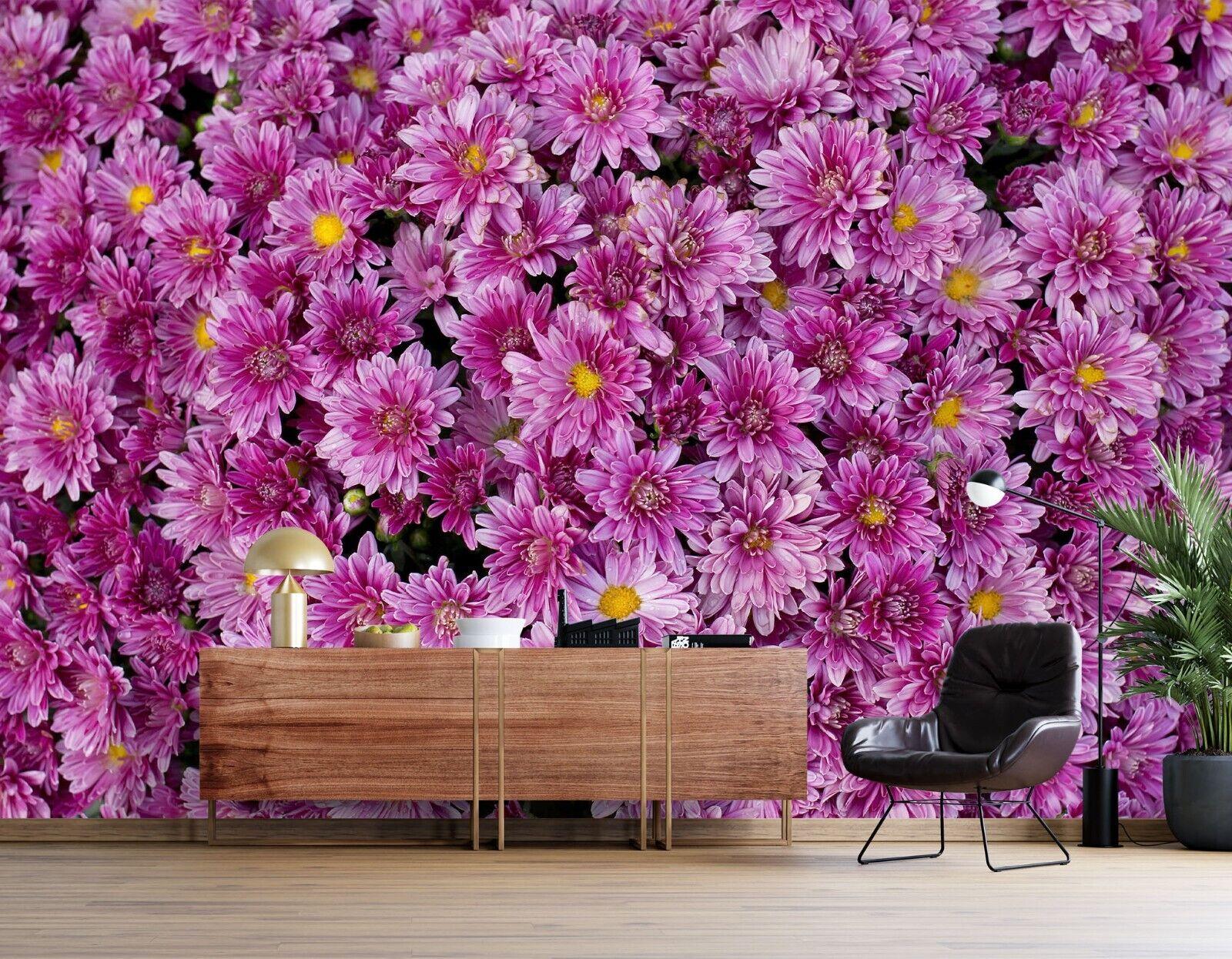 Daisy Purple Wallpapers - Top Free Daisy Purple Backgrounds