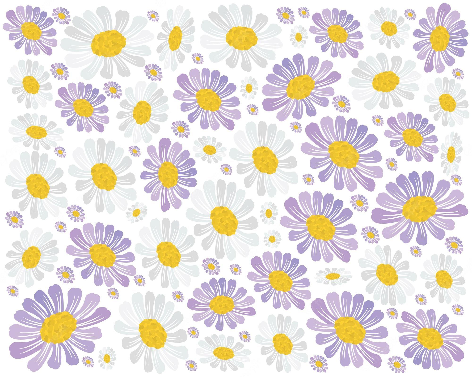 Daisy Purple Wallpapers - Top Free Daisy Purple Backgrounds