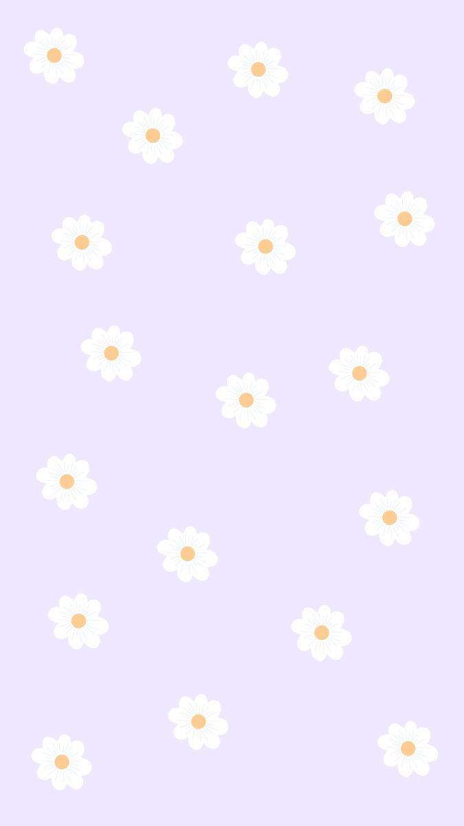 Daisy Purple Wallpapers - Top Free Daisy Purple Backgrounds ...