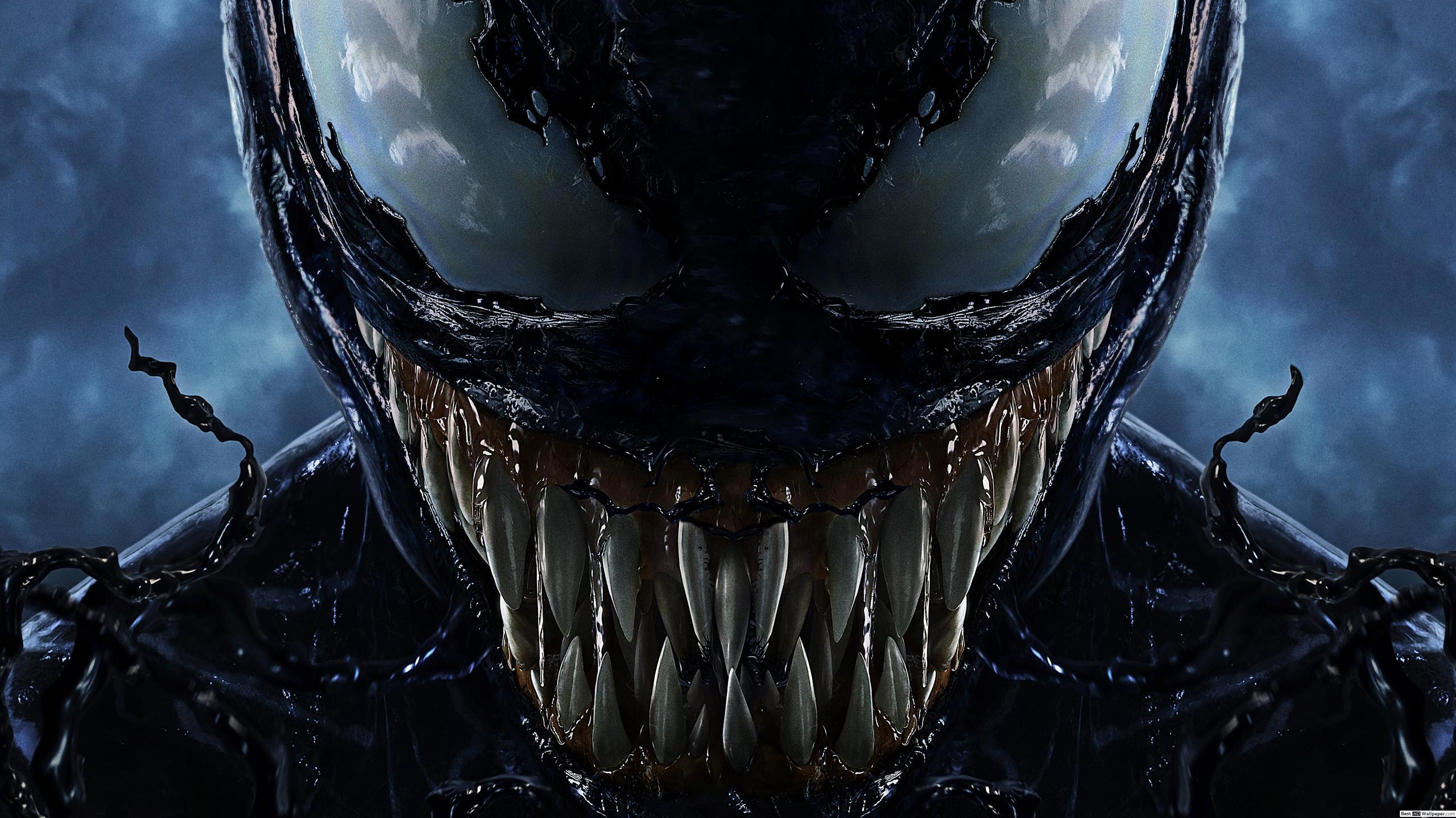 Featured image of post Venom Wallpapers For Laptop Venom wallpapers 4k hd for desktop iphone pc laptop computer android phone smartphone imac macbook tablet mobile device