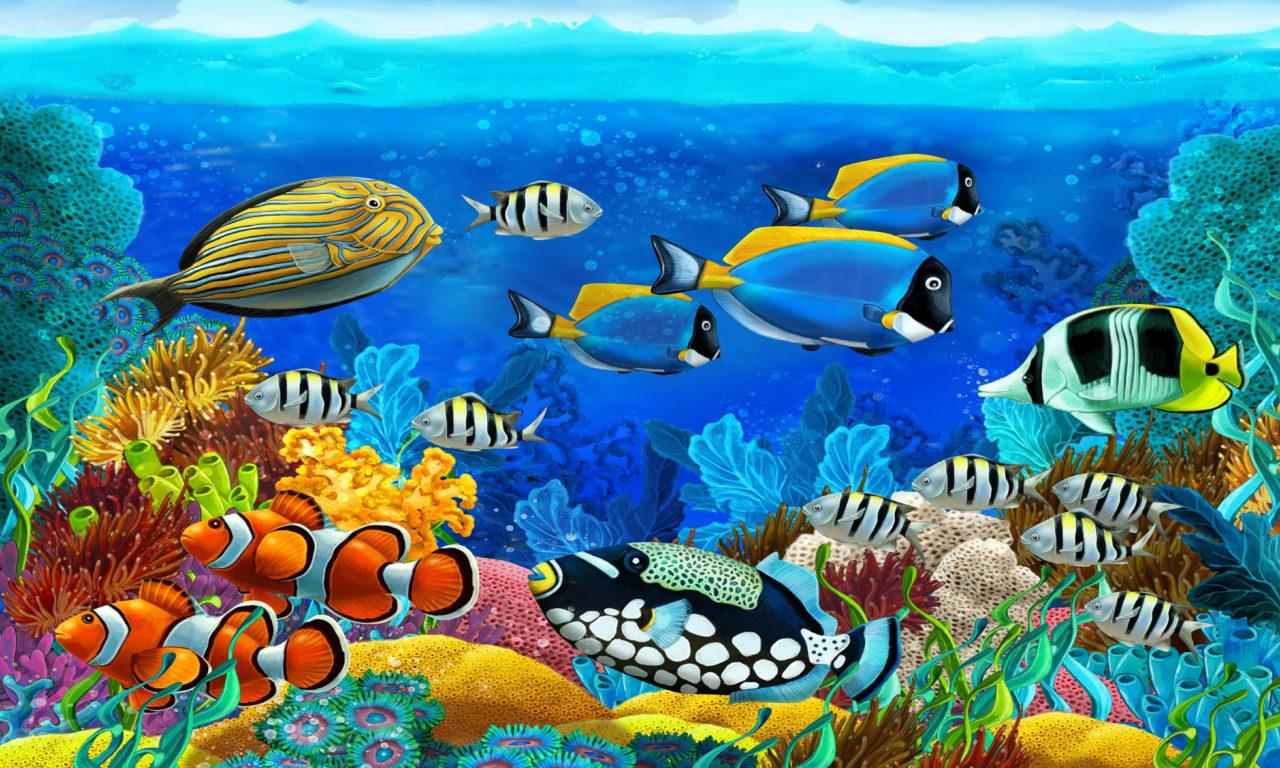 1280x768 Ocean Marine Animals Barrier Reef, Tropical Colorful Fish Desktop Wallpaper HD High Quality :