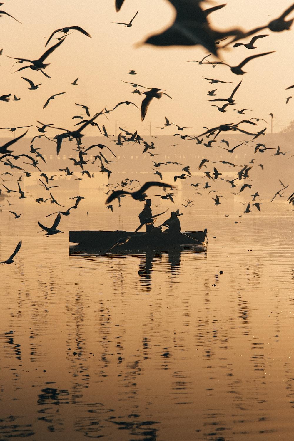 1000x1501 Yamuna River Picture. Download Free Image