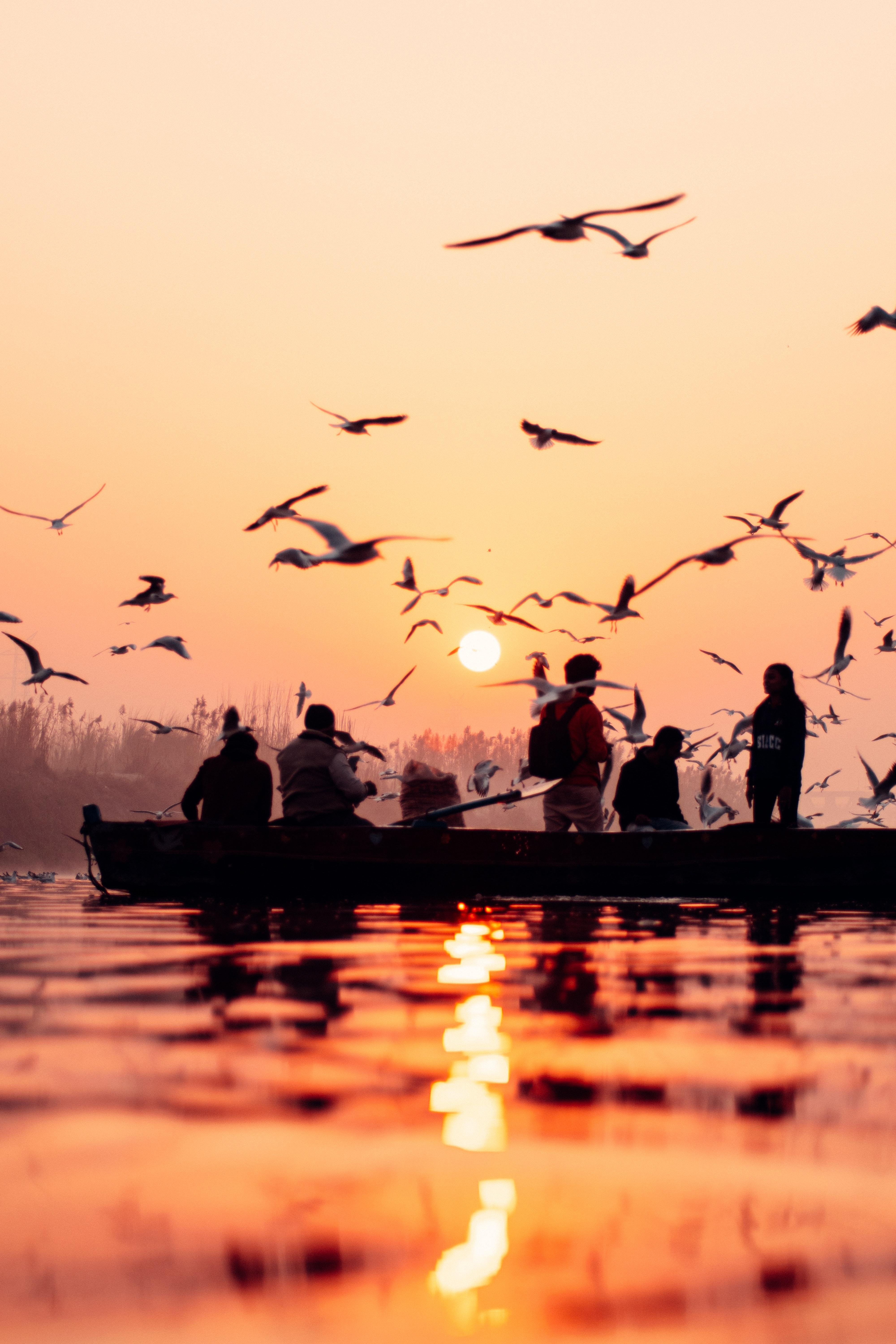 4000x6000 Yamuna River Photo, Download Free Yamuna River & HD Image