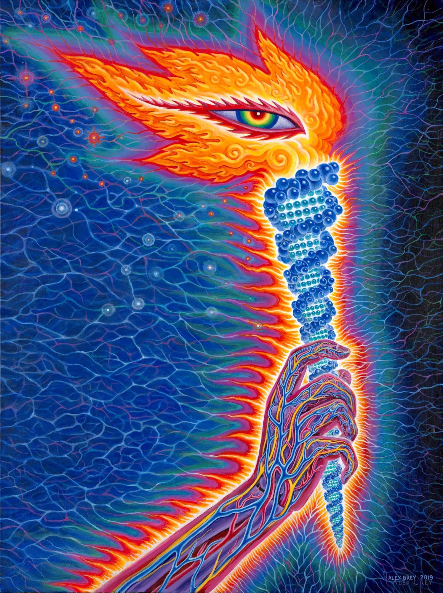 Tool art. Alex Grey 2021. Алекс грей 2022. Алекс грей Lateralus. Алекс грей Мандала.