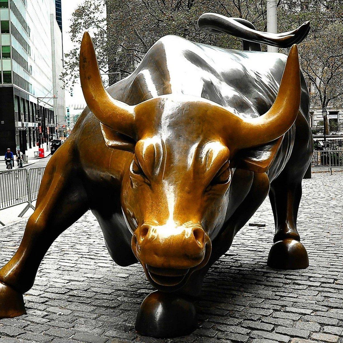 1200x1200 Charging Bull (Wall Street Bull) (New York City) You Need to Know BEFORE You Go