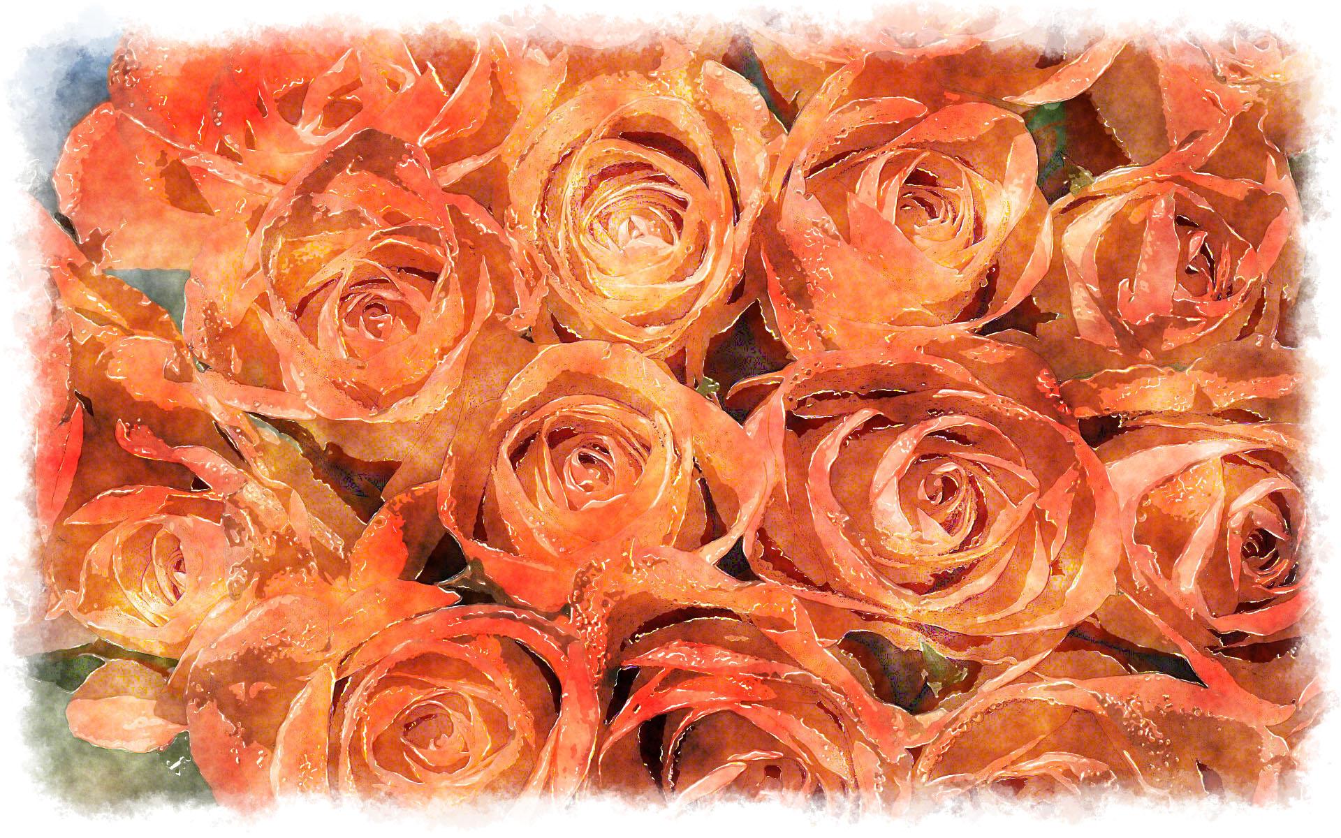 1920x1200 orange roses bouquet watercolor
