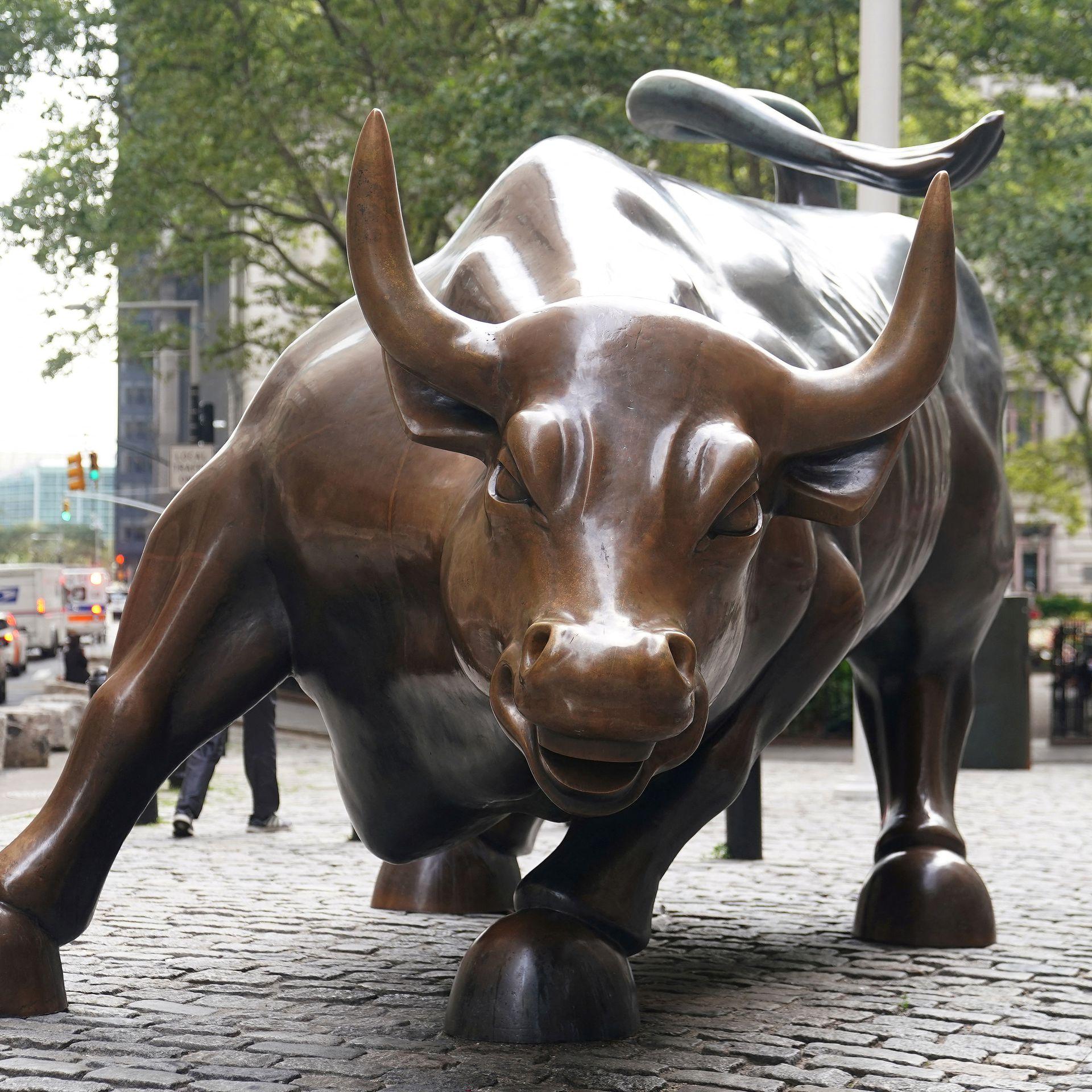 1920x1920 U.S. stock market: Is it a bull, a bear, or a bull in a bear?
