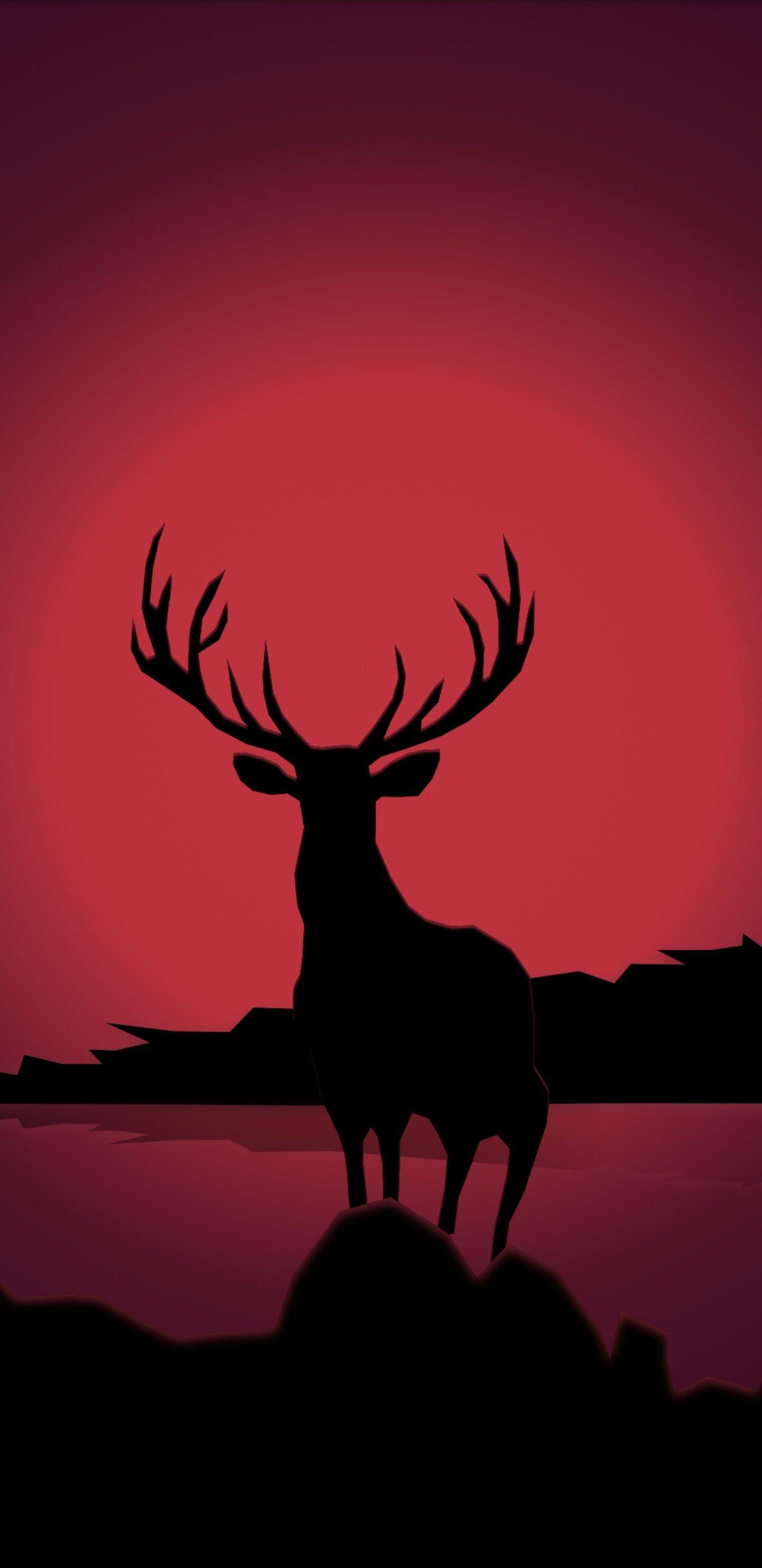 1440x2960 Samsung Galaxy S9 Wallpaper HD