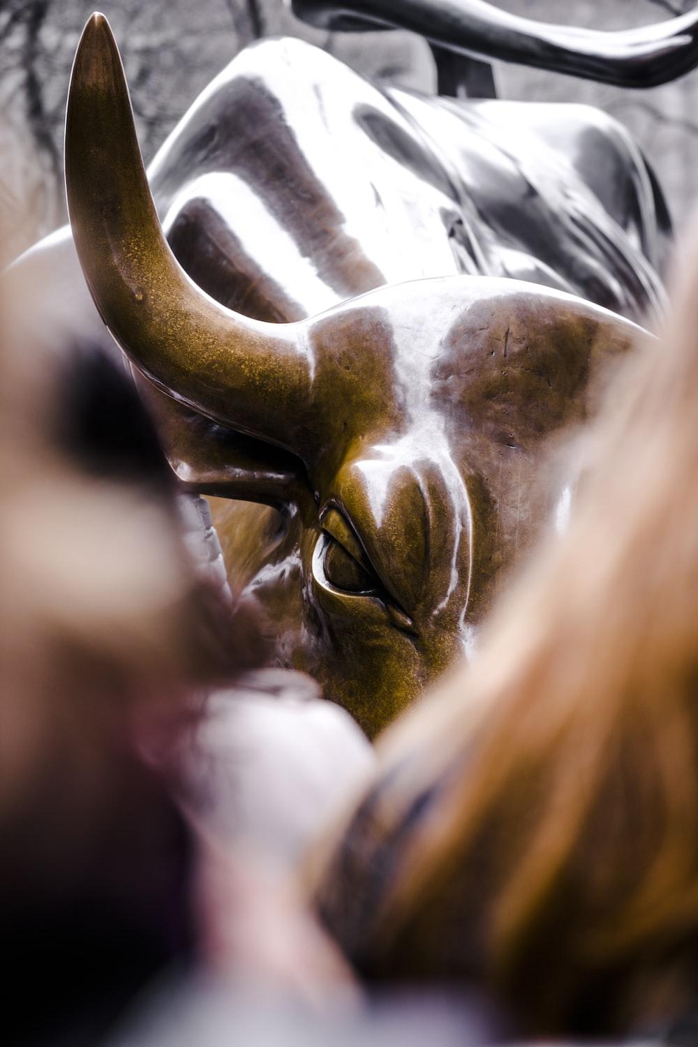 1000x1500 Wallstreet Bull Picture. Download Free Image