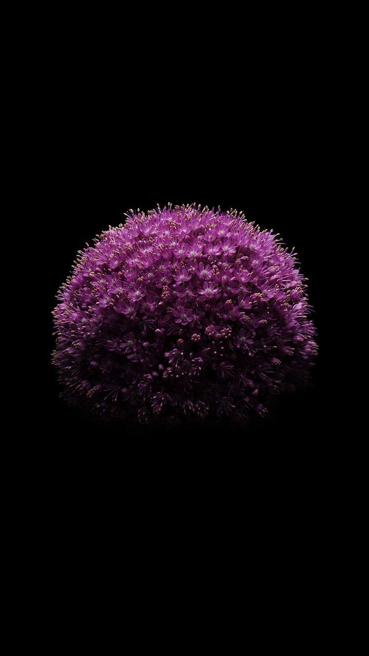 750x1334 iPhone 6 Official Wallpaper