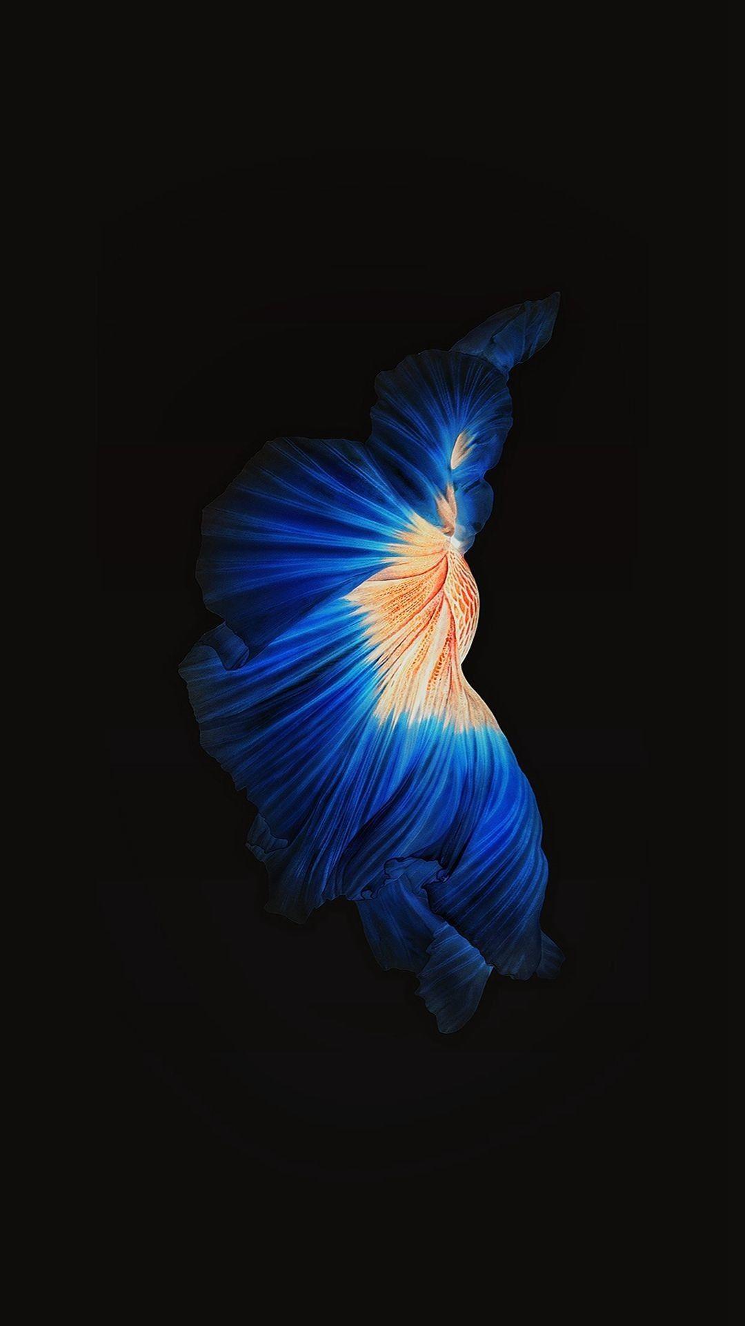 1080x1920 Apple iPhone 6 HD Original Wallpaper