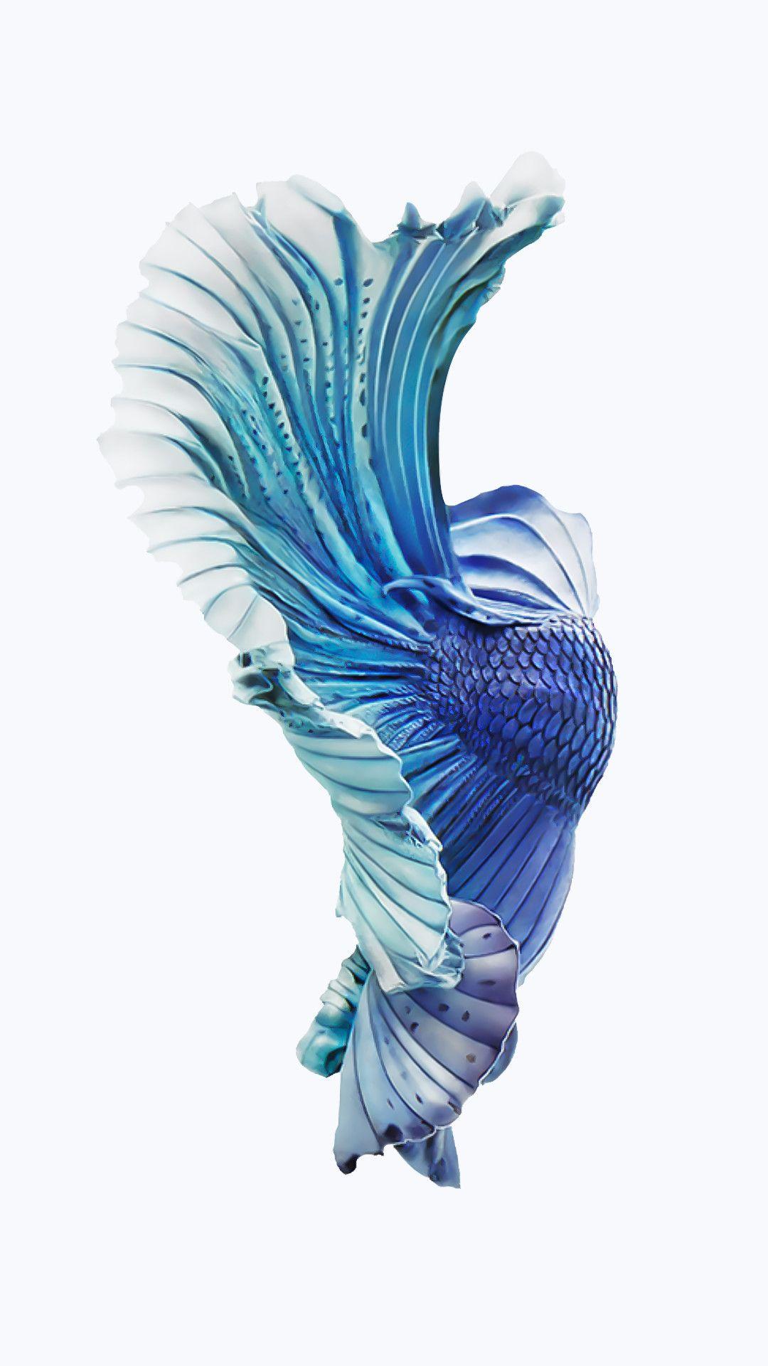 1080x1921 iPhone 6s Original Wallpaper