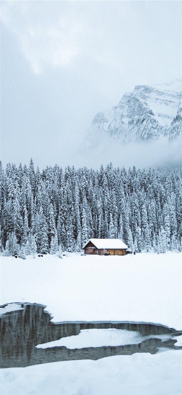 640x1385 brown shack beside forest during snow iPhone X Wallpaper Free Download