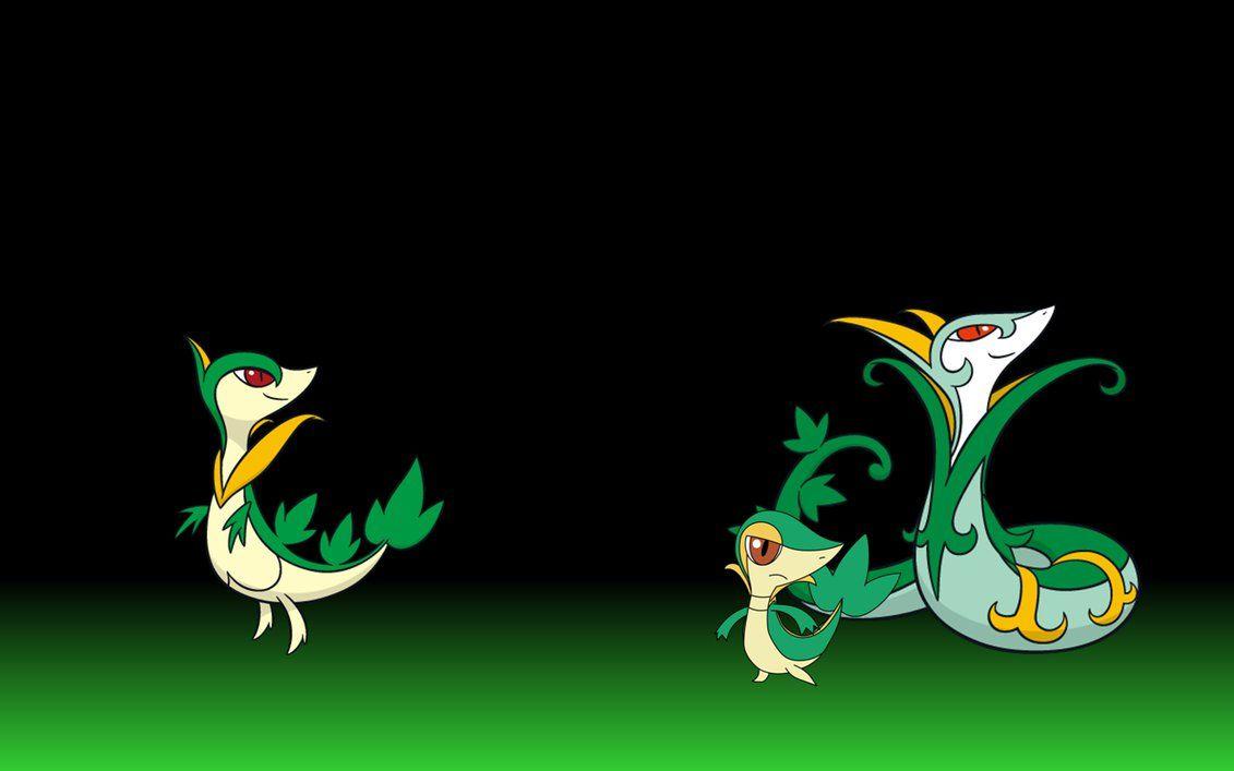 1131x707 Snivy Pokemon Wallpaper
