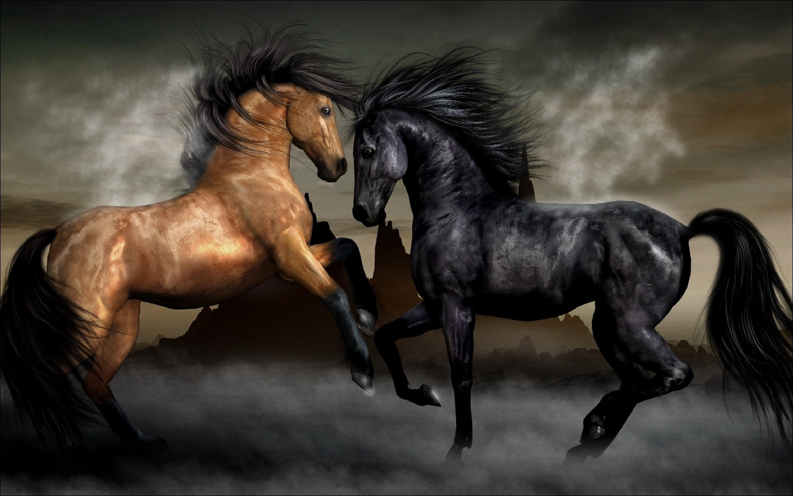 2560x1600 Wallpaper Horses