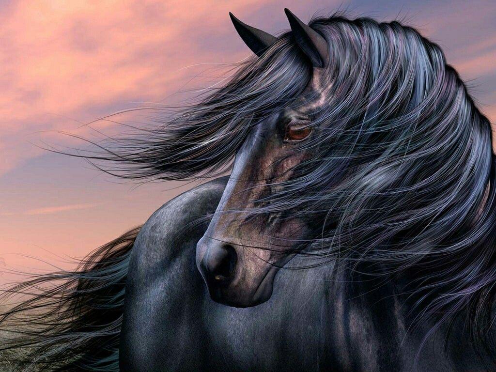 1024x768 nature. Horse wallpaper, Black horse, Horses