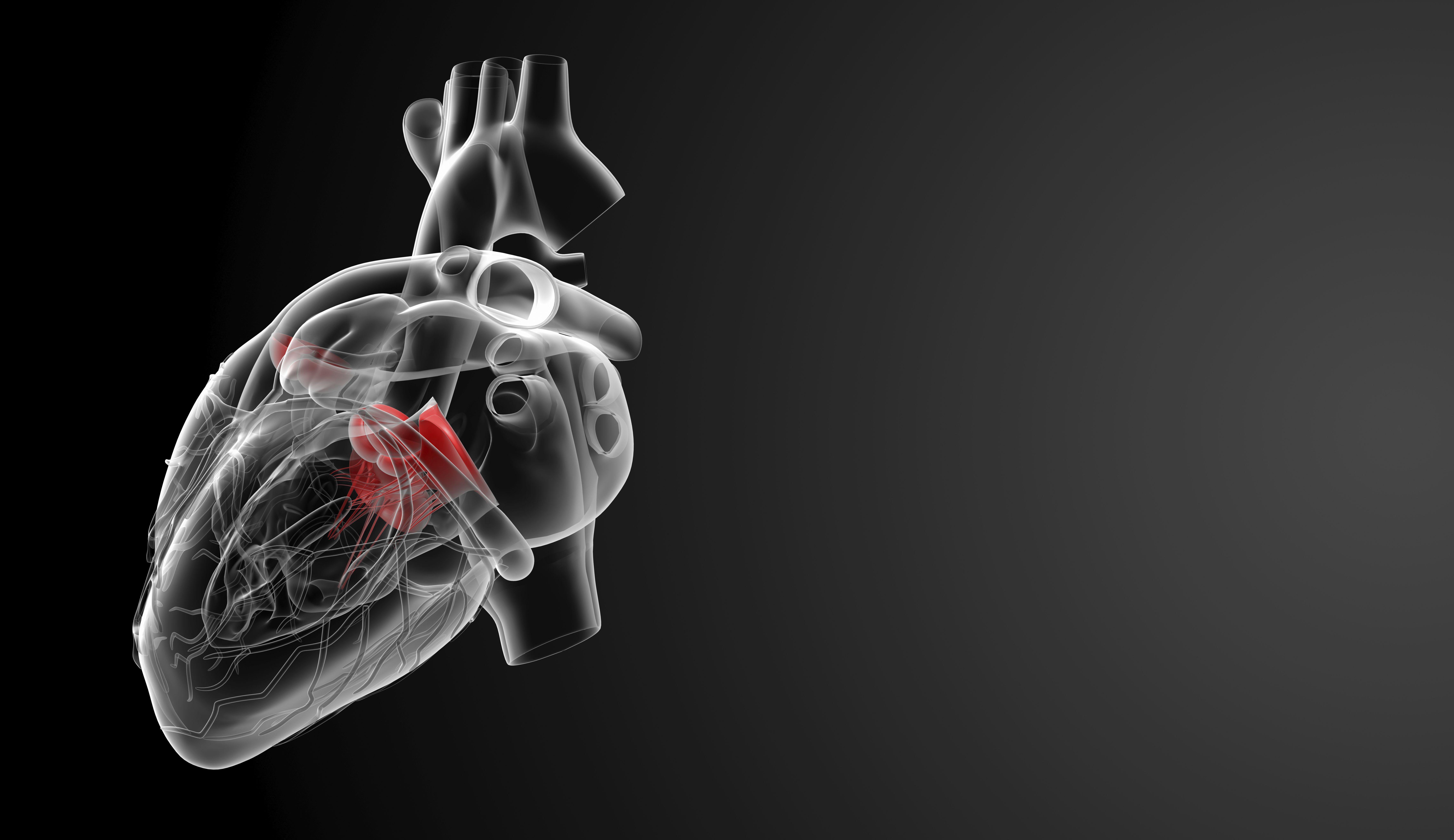 7087x4096 Cardiology Wallpaper