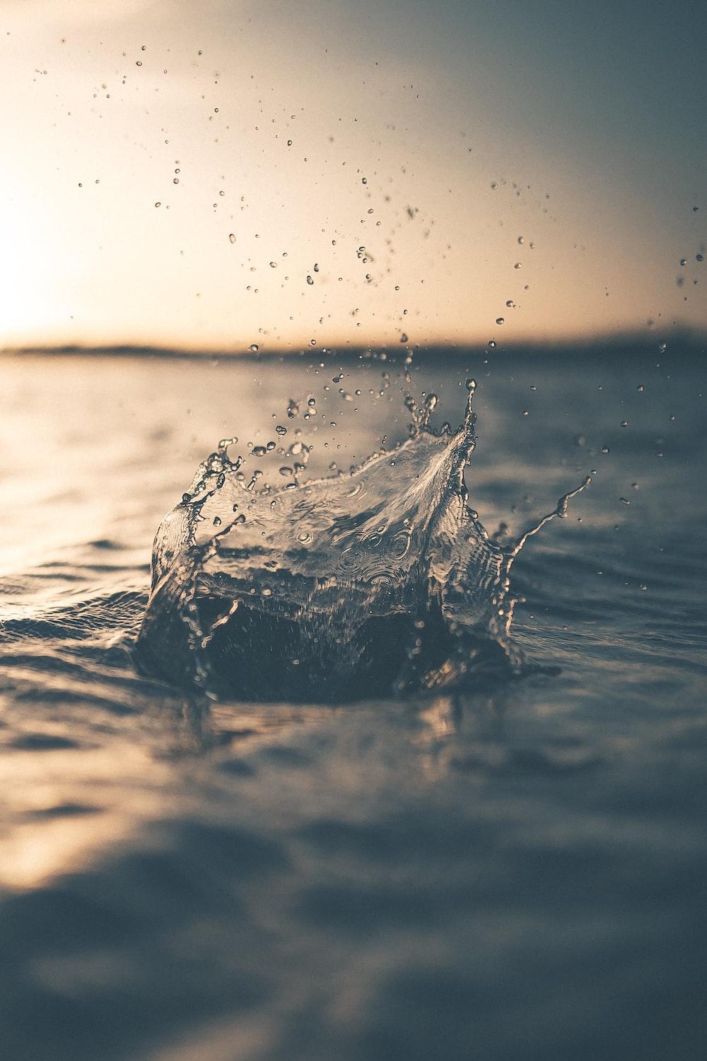 1000x1500 Water Splash Picture [HD]. Download Free Image