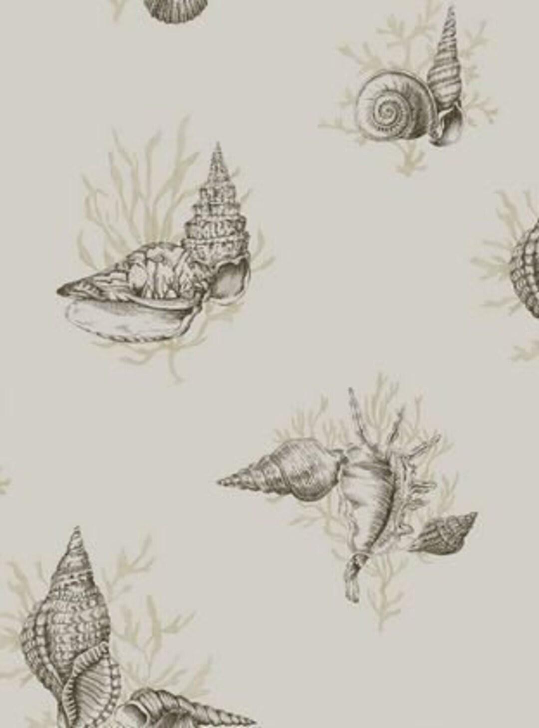 Seashell House Wallpapers - Top Free Seashell House Backgrounds