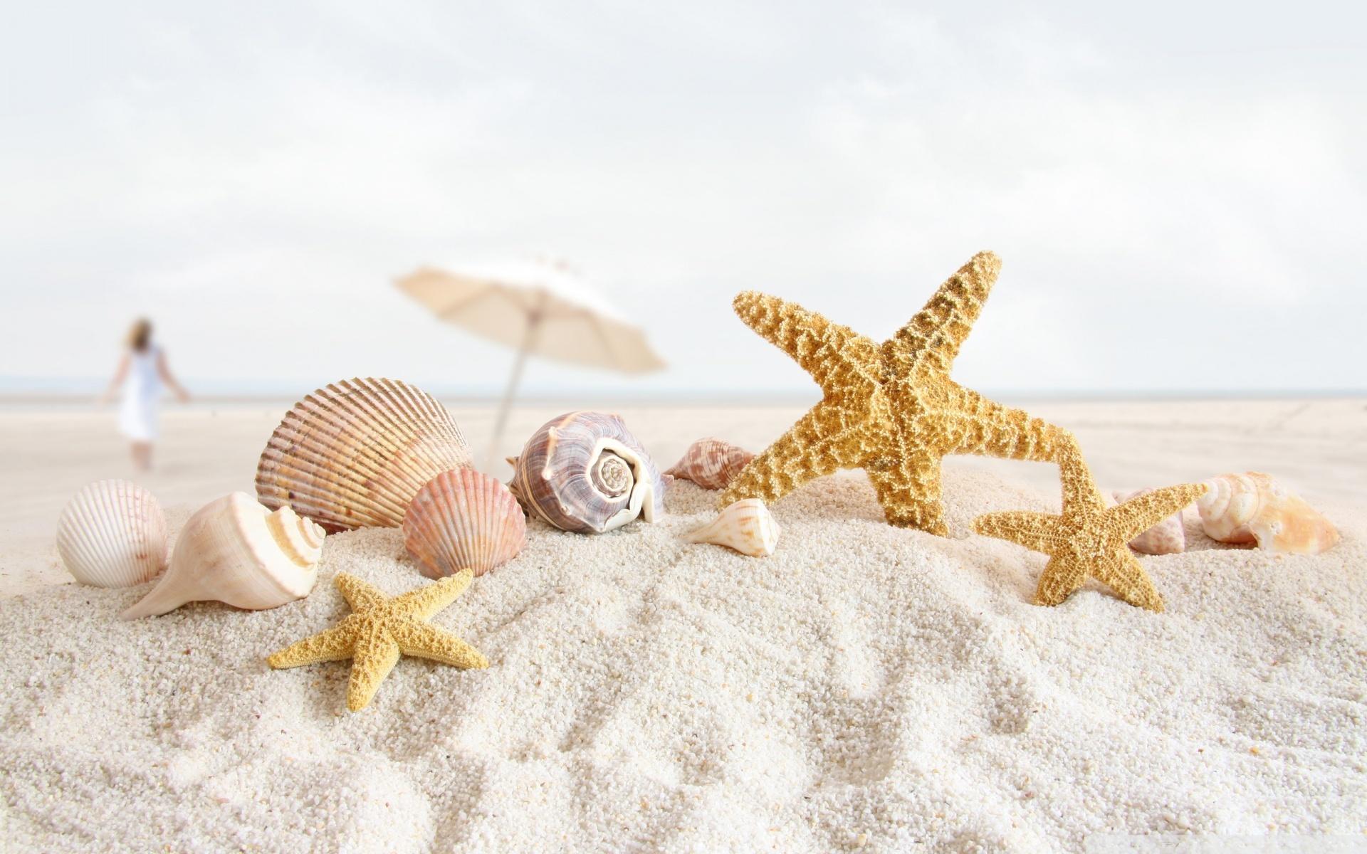 1920x1200 Seashells Wallpaper