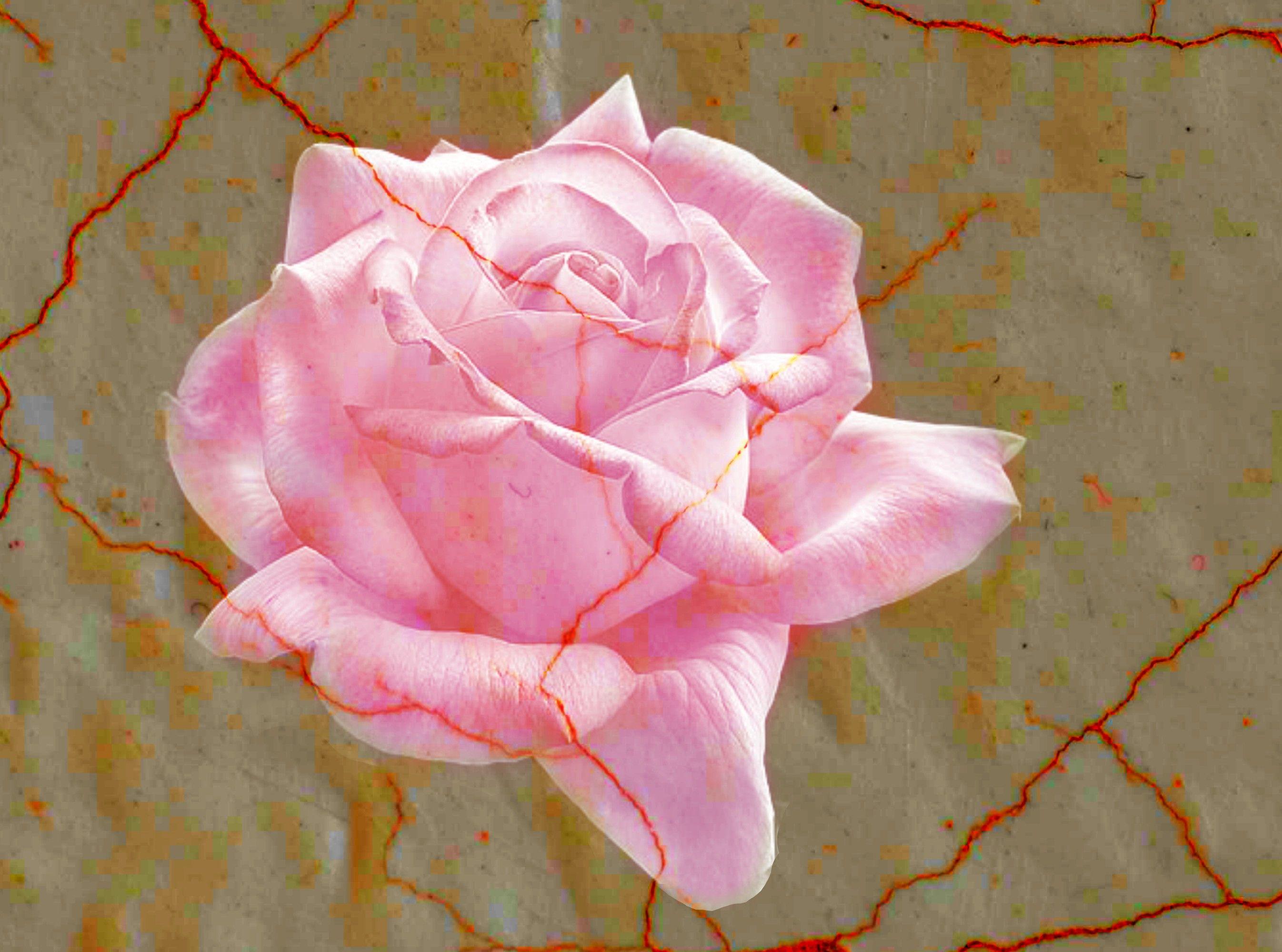 2692x2000 Pink marble rose for my friend luna wallpaper