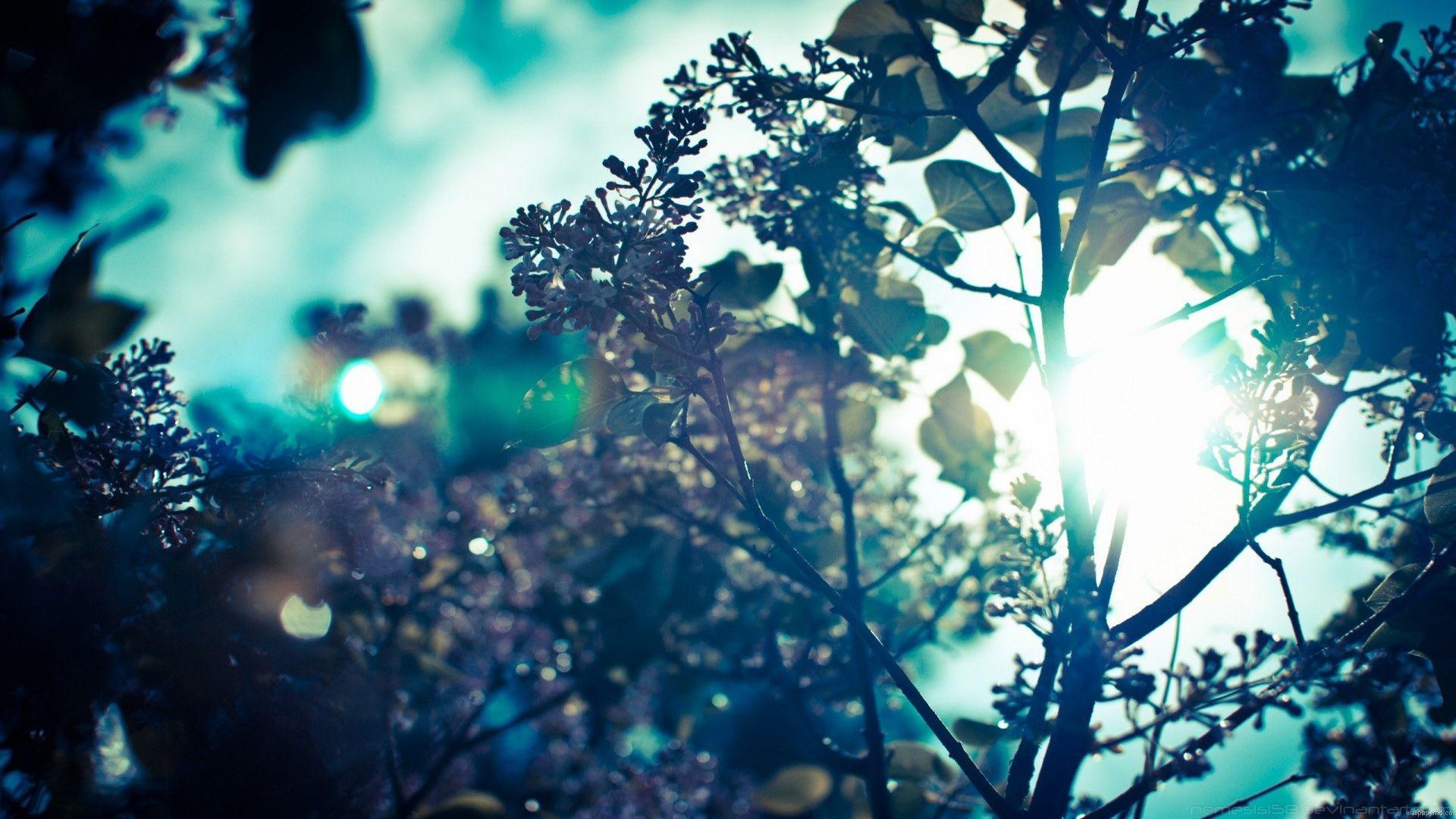 1920x1080 Pretty Wallpaper Tumblr HD