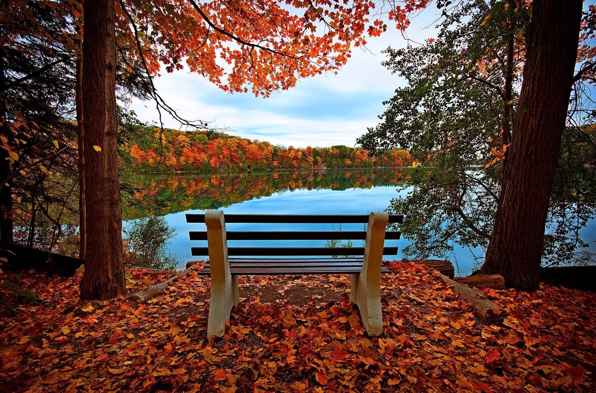 Autumn Bench Wallpapers - Top Free Autumn Bench Backgrounds -  WallpaperAccess
