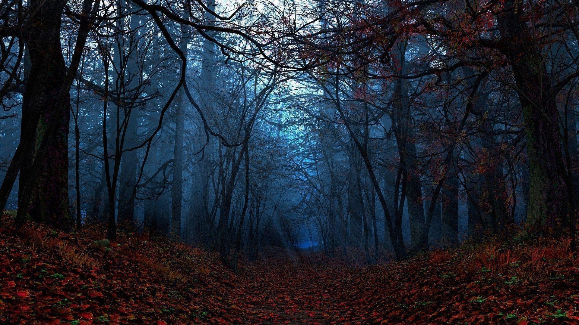Dark Autumn Forest Wallpapers - Top Free Dark Autumn Forest Backgrounds ...