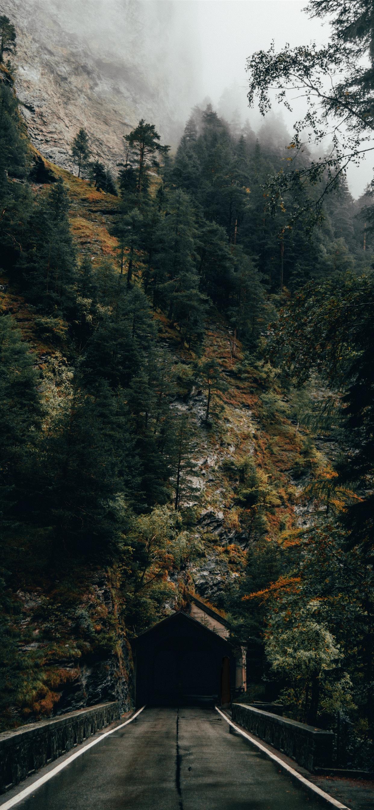1242x2688 Dark tunnel entrance in front of autumn forest iPhone 11 Wallpaper Free Download