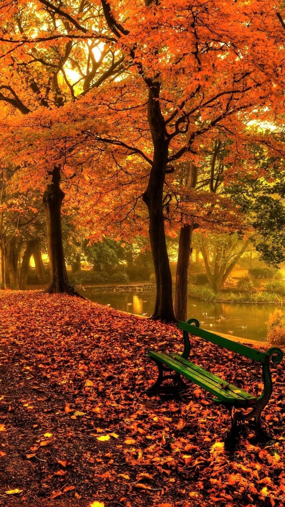 Autumn Bench Wallpapers - Top Free Autumn Bench Backgrounds ...