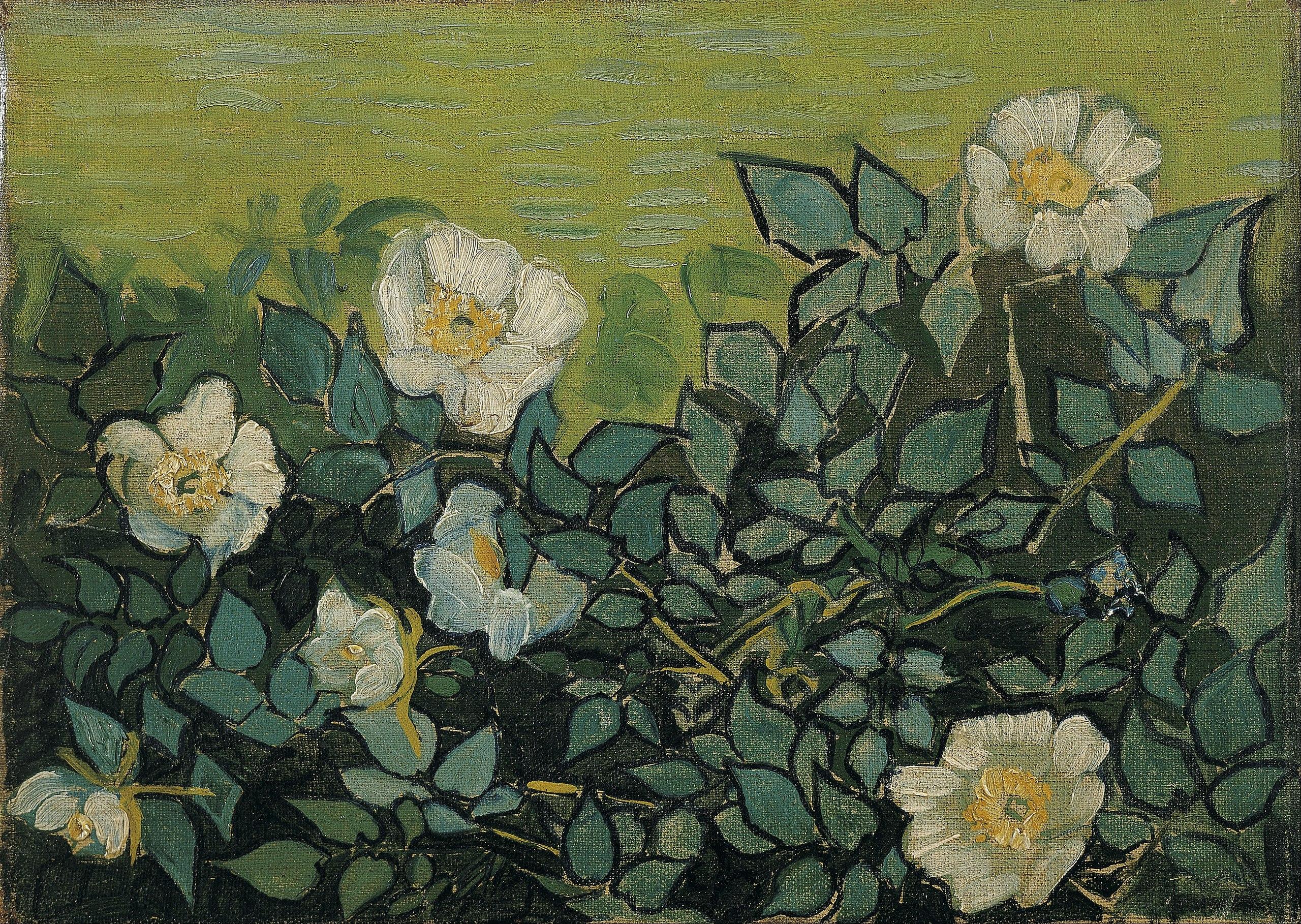 2560x1818 Vincent van Gogh roses Art