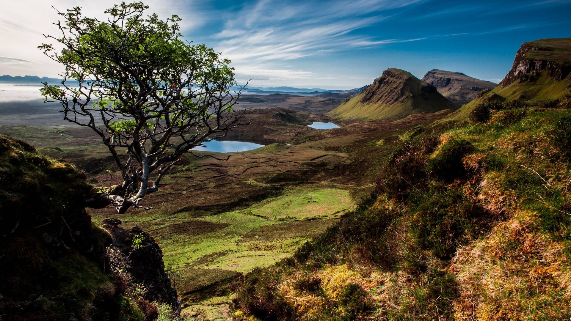 1920x1080 scotland, trees, mountains 1080P Laptop Full HD Wallpaper, HD Nature 4K Wallpaper, Image, Photo and Background