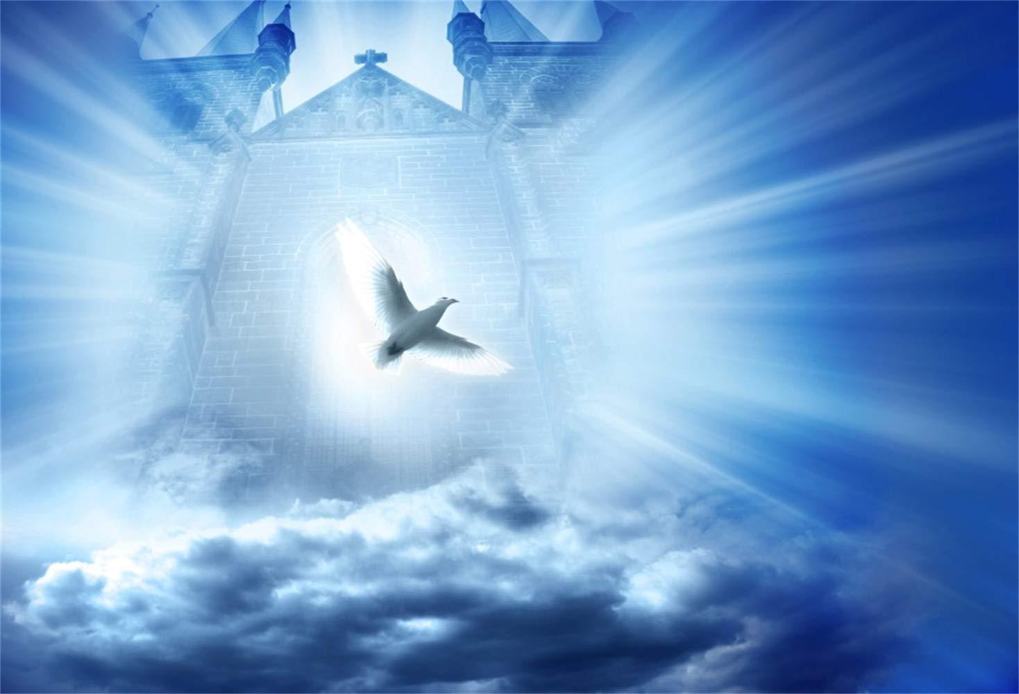 1468x1000 Laeacco 10x8ft Holy Spirit Dove Light Rays from The Gate of Heaven Backdrop Vinyl Sea of Clouds Paradise Pentecost Background Church Bible School Event Activities Wallpaper Jesus Christian Belief