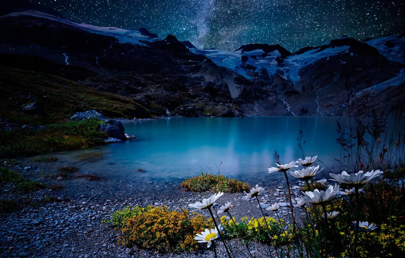 1332x850 Wallpaper the sky, stars, flowers, mountains, night, lake, stones, shore, chamomile, Switzerland, Alps image for desktop, section пейзажи
