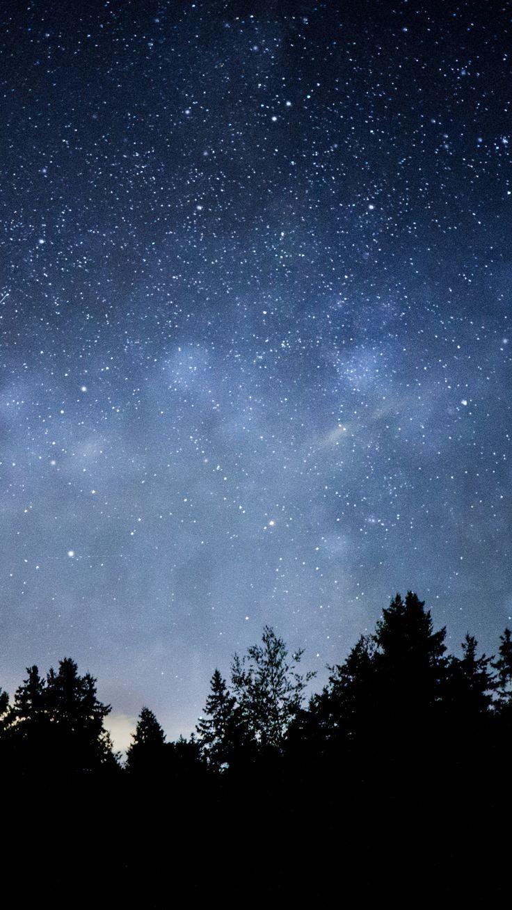 736x1308 Tree, starry night, blue dark, silhouette wallpaper. Black wallpaper iphone dark, Night sky wallpaper, Night sky photography