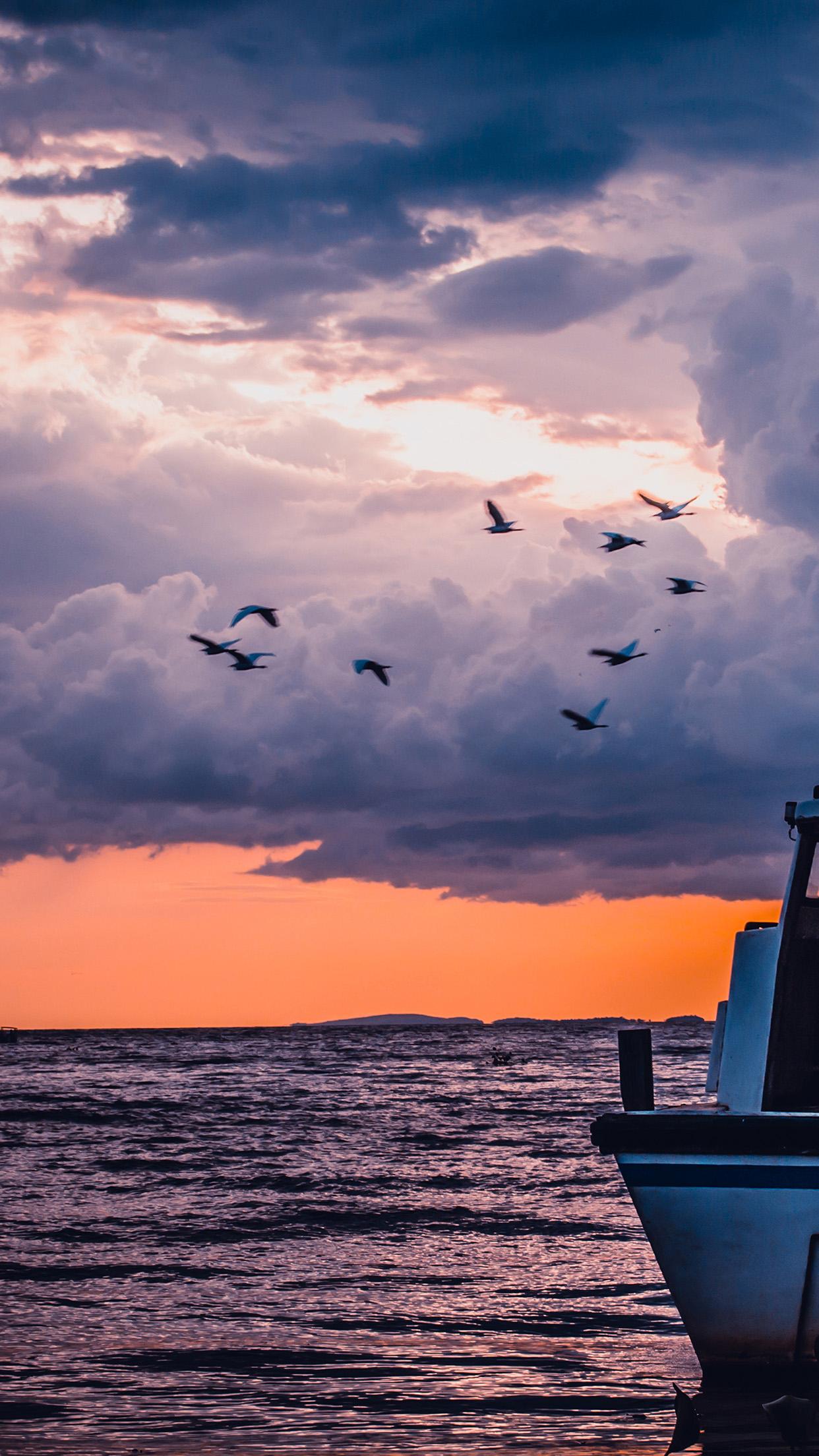 1242x2208 sea sunset birds sky ocean ship nature blue