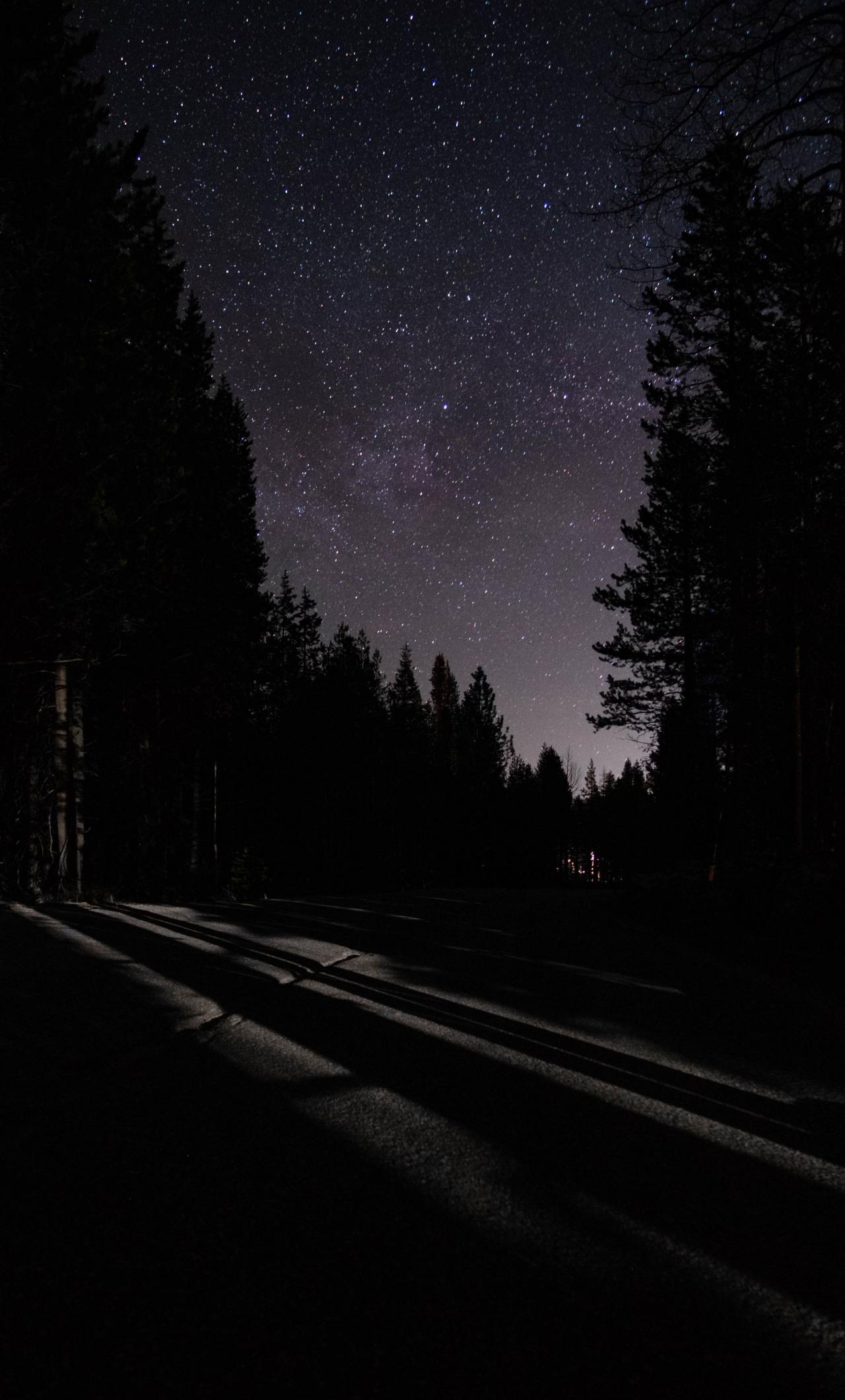 1280x2120 Download wallpaper 1280x2120 night, dark, road, starry sky, trees, iphone 6 plus, 1280x2120 HD background, 21563