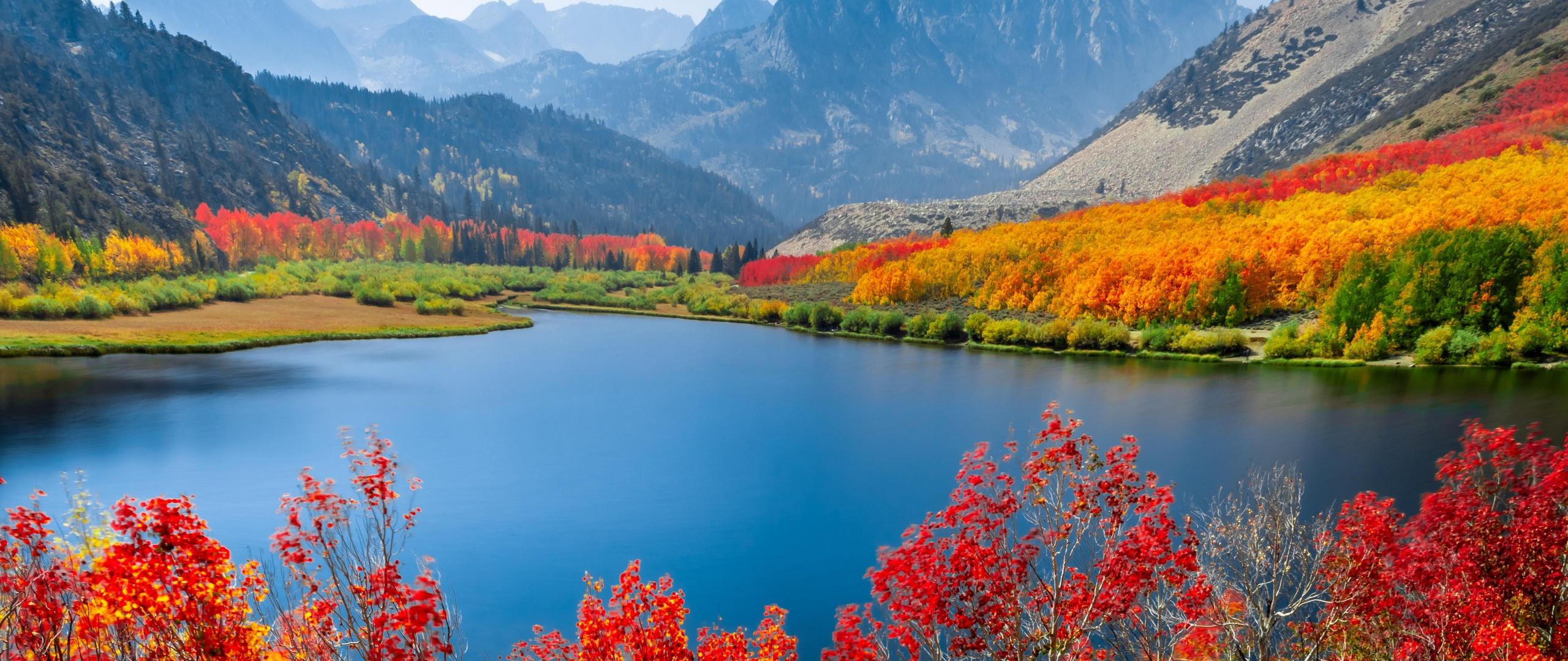 2560x1080 Autumn trees Wallpaper 4K, Lake, Mountain range, Nature