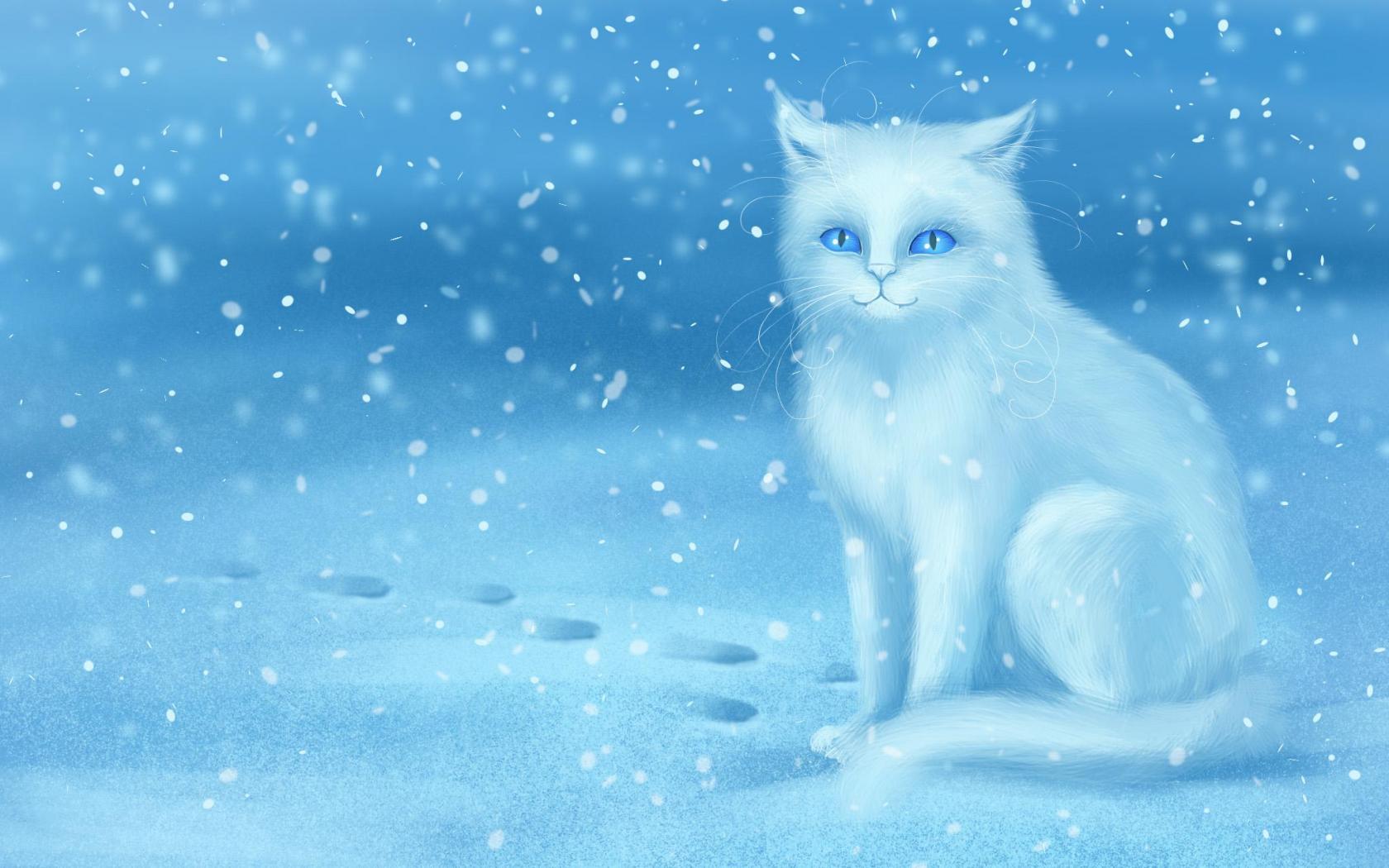 1680x1050 Cats in Winter Wallpaper