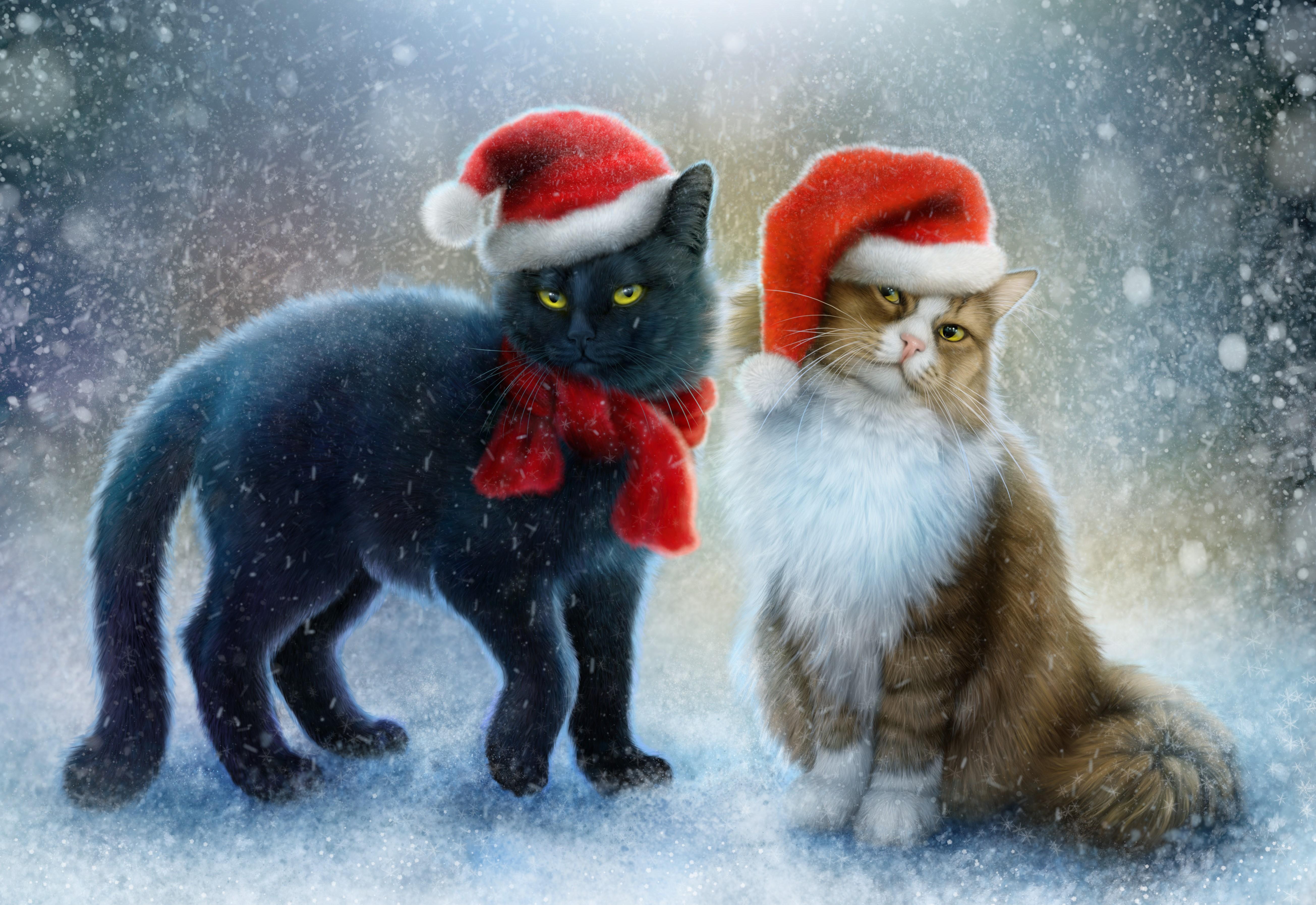 5218x3589 4K, 5K, Cats, Painting Art, Christmas, Two, Winter hat, Snow, Scarf Gallery HD Wallpaper