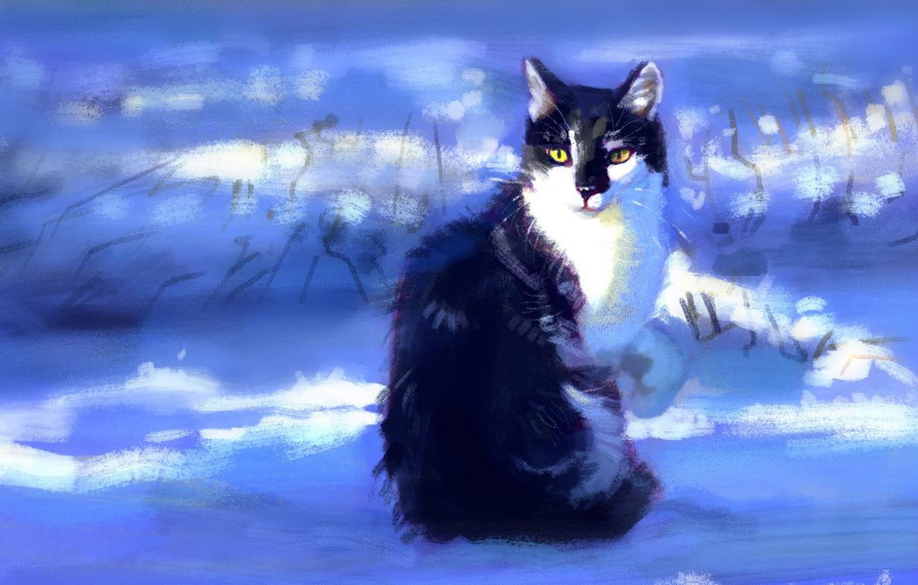 1332x850 Cute Winter Cat Wallpaper