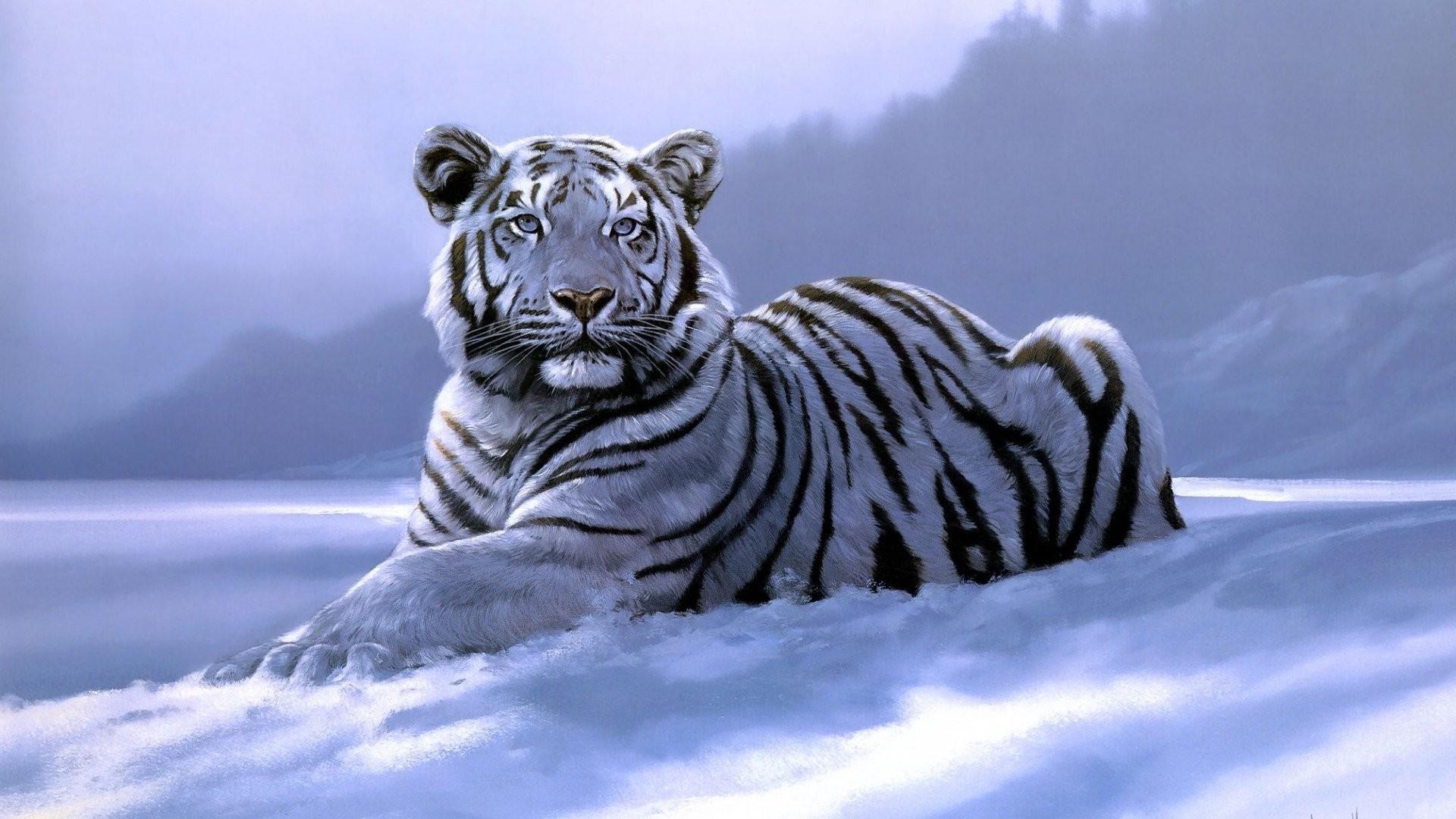 1920x1080 Winter Tag