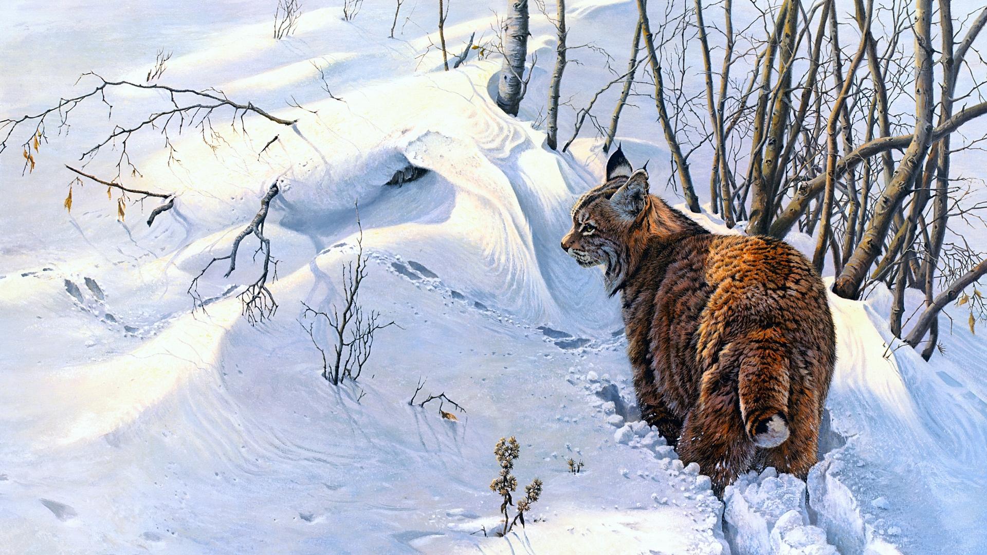 1920x1080 Wallpaper / pictura, lynx, cat, pisici, art, animal, iarna, winter, snow, wild, painting, john seerey lester, white free download