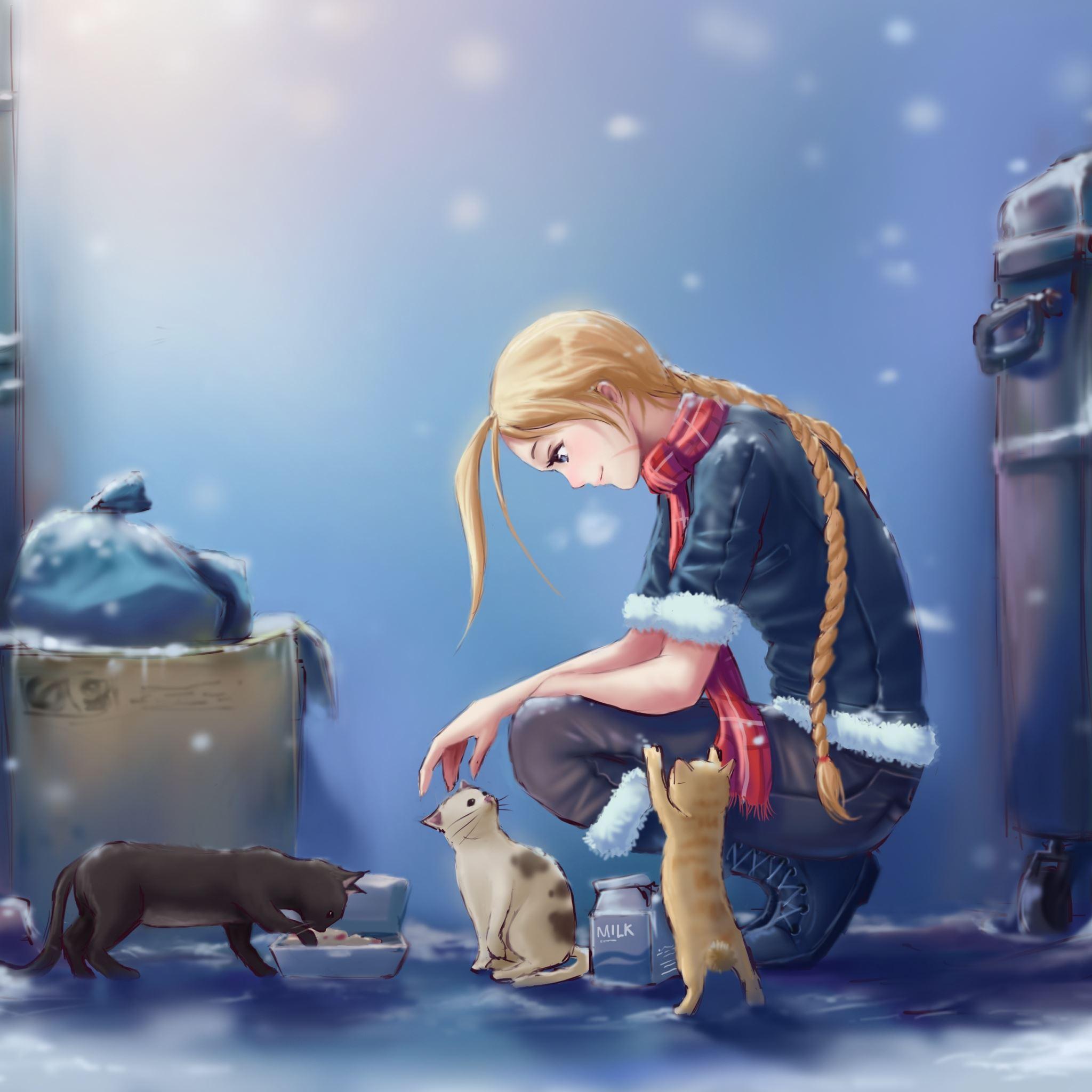 2048x2048 Street Fighter Cammy Girl Street Cats Art iPad Air Wallpaper Free Download