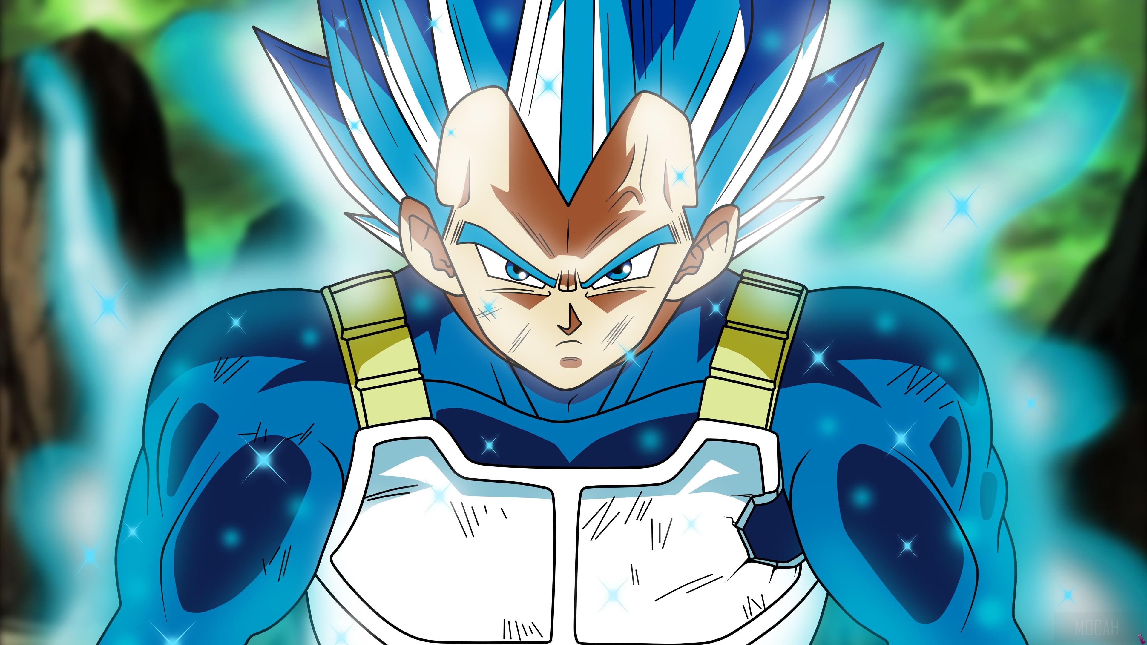 3840x2160 Super Saiyan Blue Dragon Ball Super 4k Gallery HD Wallpaper