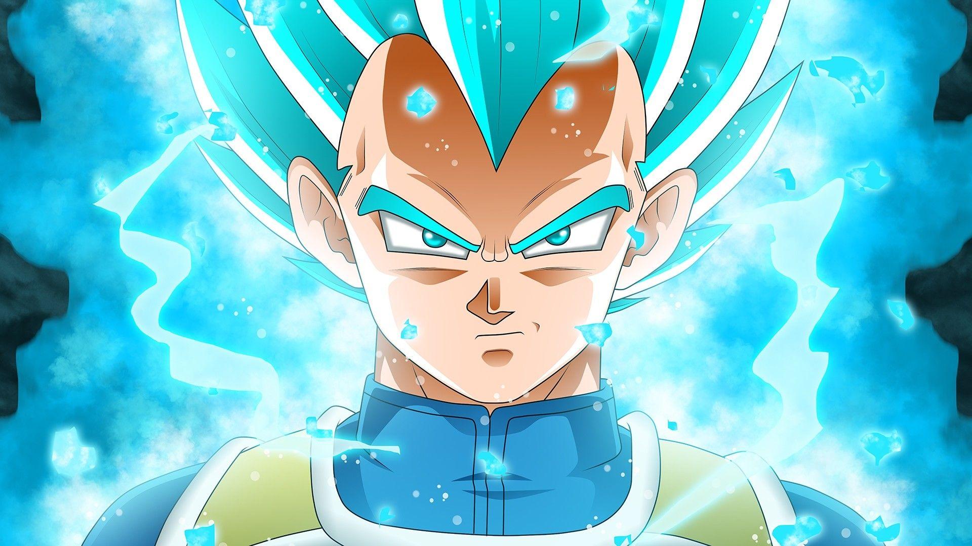 1920x1080 Vegeta SSJB Wallpaper